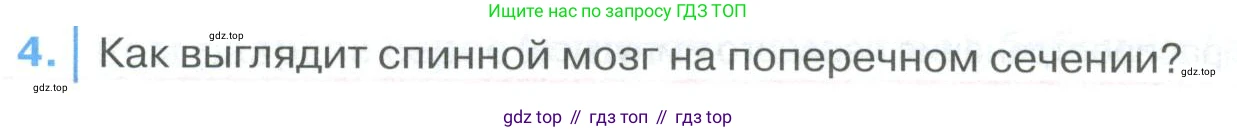 ГДЗ Биология, 9 класс Учебник, авторы: Колесов Дмитрий Васильевич, Маш Реми Давидович, Беляев Иван Николаевич, издательство Просвещение, Москва, 2021, белого цвета, страница 284, номер 4, Условие