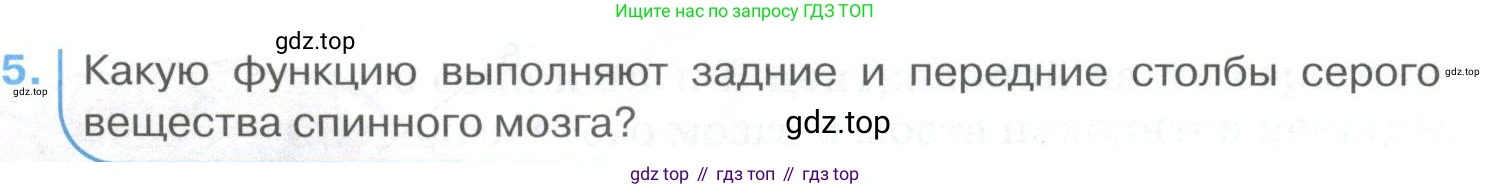 ГДЗ Биология, 9 класс Учебник, авторы: Колесов Дмитрий Васильевич, Маш Реми Давидович, Беляев Иван Николаевич, издательство Просвещение, Москва, 2021, белого цвета, страница 285, номер 5, Условие