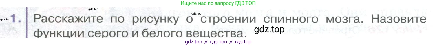 ГДЗ Биология, 9 класс Учебник, авторы: Колесов Дмитрий Васильевич, Маш Реми Давидович, Беляев Иван Николаевич, издательство Просвещение, Москва, 2021, белого цвета, страница 285, номер 1, Условие