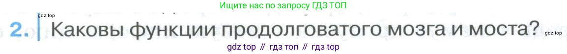 ГДЗ Биология, 9 класс Учебник, авторы: Колесов Дмитрий Васильевич, Маш Реми Давидович, Беляев Иван Николаевич, издательство Просвещение, Москва, 2021, белого цвета, страница 289, номер 2, Условие