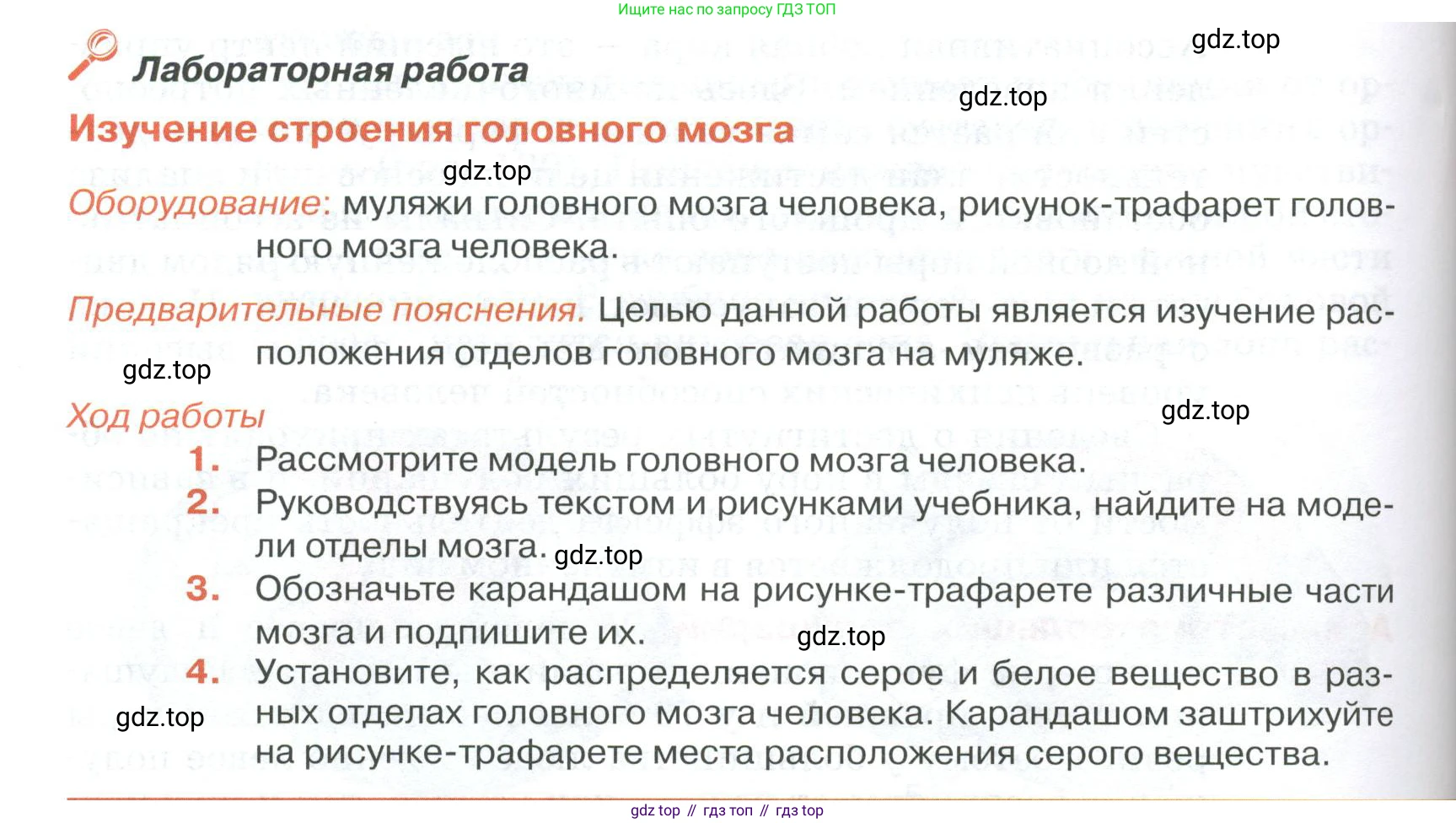 ГДЗ Биология, 9 класс Учебник, авторы: Колесов Дмитрий Васильевич, Маш Реми Давидович, Беляев Иван Николаевич, издательство Просвещение, Москва, 2021, белого цвета, страница 294, Условие