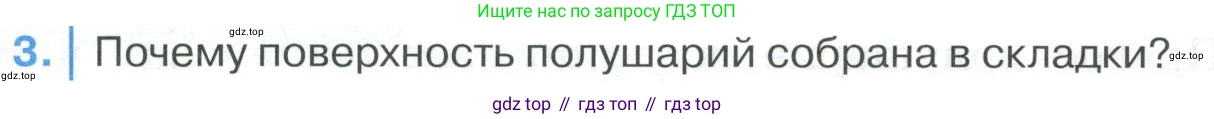 ГДЗ Биология, 9 класс Учебник, авторы: Колесов Дмитрий Васильевич, Маш Реми Давидович, Беляев Иван Николаевич, издательство Просвещение, Москва, 2021, белого цвета, страница 294, номер 3, Условие