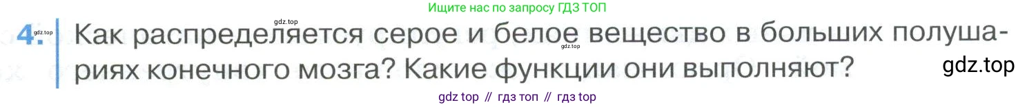 ГДЗ Биология, 9 класс Учебник, авторы: Колесов Дмитрий Васильевич, Маш Реми Давидович, Беляев Иван Николаевич, издательство Просвещение, Москва, 2021, белого цвета, страница 295, номер 4, Условие
