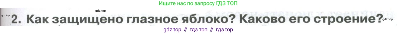 ГДЗ Биология, 9 класс Учебник, авторы: Колесов Дмитрий Васильевич, Маш Реми Давидович, Беляев Иван Николаевич, издательство Просвещение, Москва, 2021, белого цвета, страница 305, номер 2, Условие
