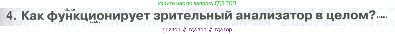 ГДЗ Биология, 9 класс Учебник, авторы: Колесов Дмитрий Васильевич, Маш Реми Давидович, Беляев Иван Николаевич, издательство Просвещение, Москва, 2021, белого цвета, страница 305, номер 4, Условие