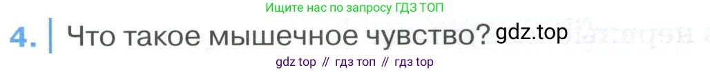 ГДЗ Биология, 9 класс Учебник, авторы: Колесов Дмитрий Васильевич, Маш Реми Давидович, Беляев Иван Николаевич, издательство Просвещение, Москва, 2021, белого цвета, страница 327, номер 4, Условие