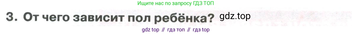 ГДЗ Биология, 9 класс Учебник, авторы: Колесов Дмитрий Васильевич, Маш Реми Давидович, Беляев Иван Николаевич, издательство Просвещение, Москва, 2021, белого цвета, страница 382, номер 3, Условие