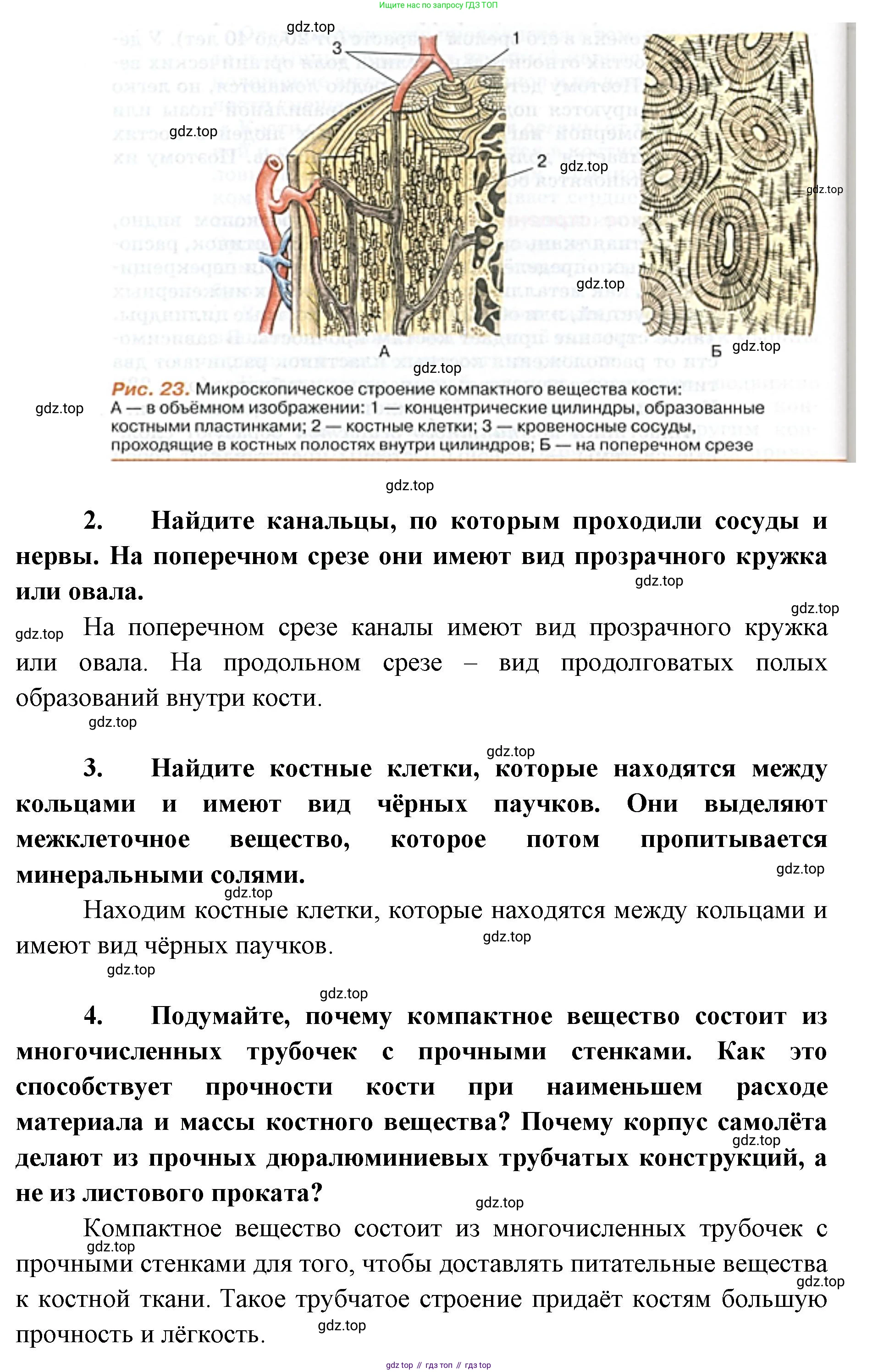 ГДЗ Биология, 9 класс Учебник, авторы: Колесов Дмитрий Васильевич, Маш Реми Давидович, Беляев Иван Николаевич, издательство Просвещение, Москва, 2021, белого цвета, страница 69, Решение (продолжение 2)