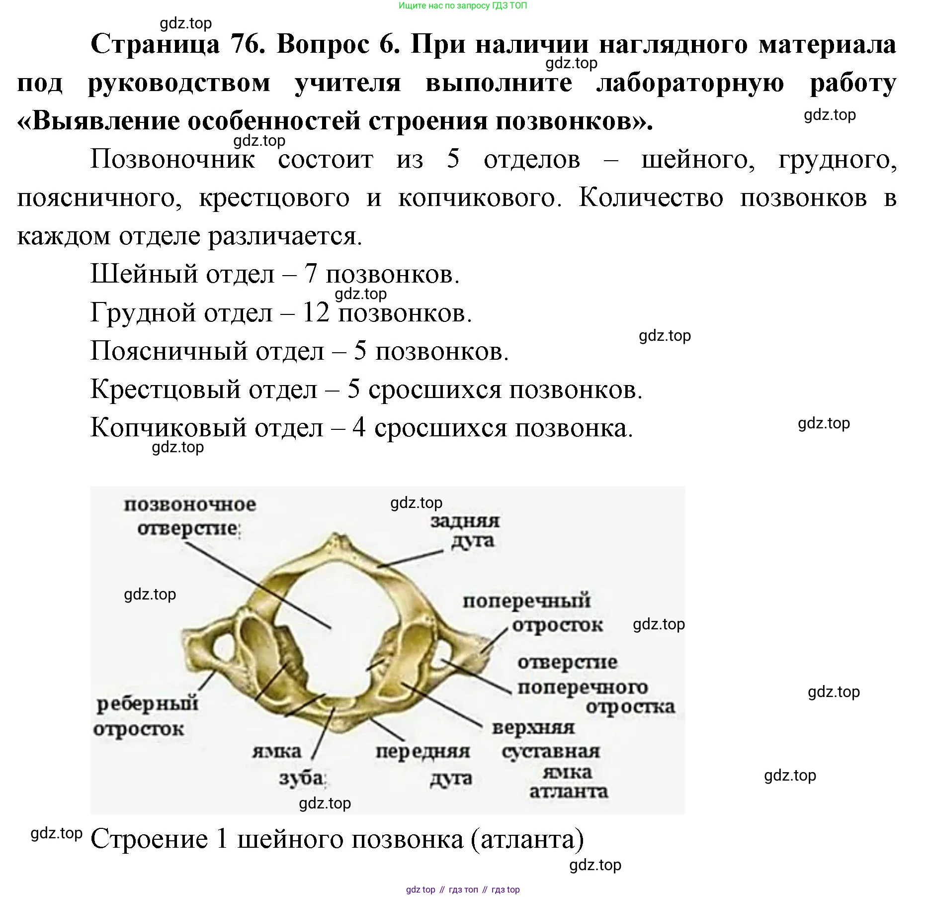 ГДЗ Биология, 9 класс Учебник, авторы: Колесов Дмитрий Васильевич, Маш Реми Давидович, Беляев Иван Николаевич, издательство Просвещение, Москва, 2021, белого цвета, страница 76, номер 6, Решение