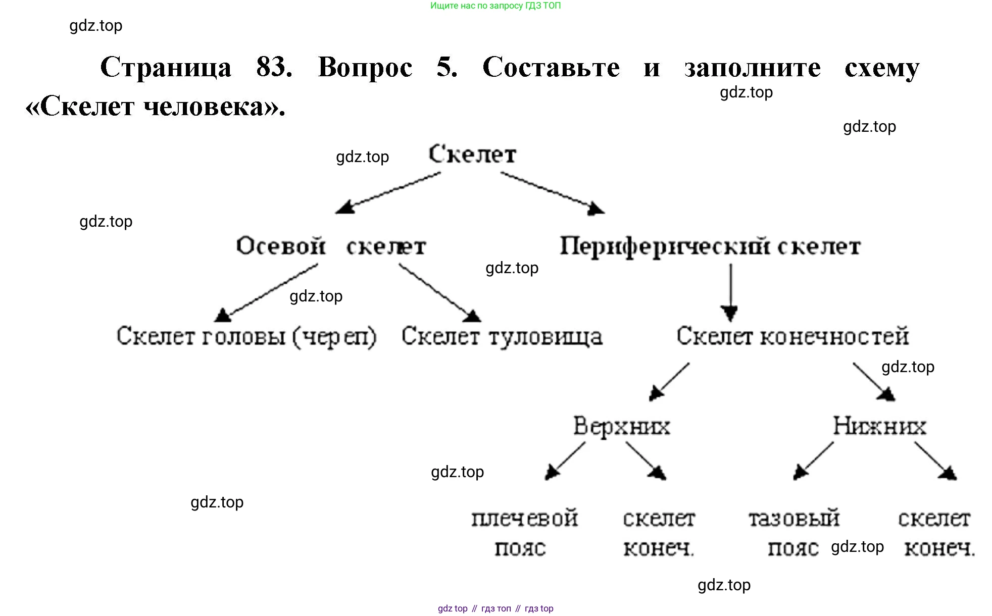 ГДЗ Биология, 9 класс Учебник, авторы: Колесов Дмитрий Васильевич, Маш Реми Давидович, Беляев Иван Николаевич, издательство Просвещение, Москва, 2021, белого цвета, страница 83, номер 5, Решение