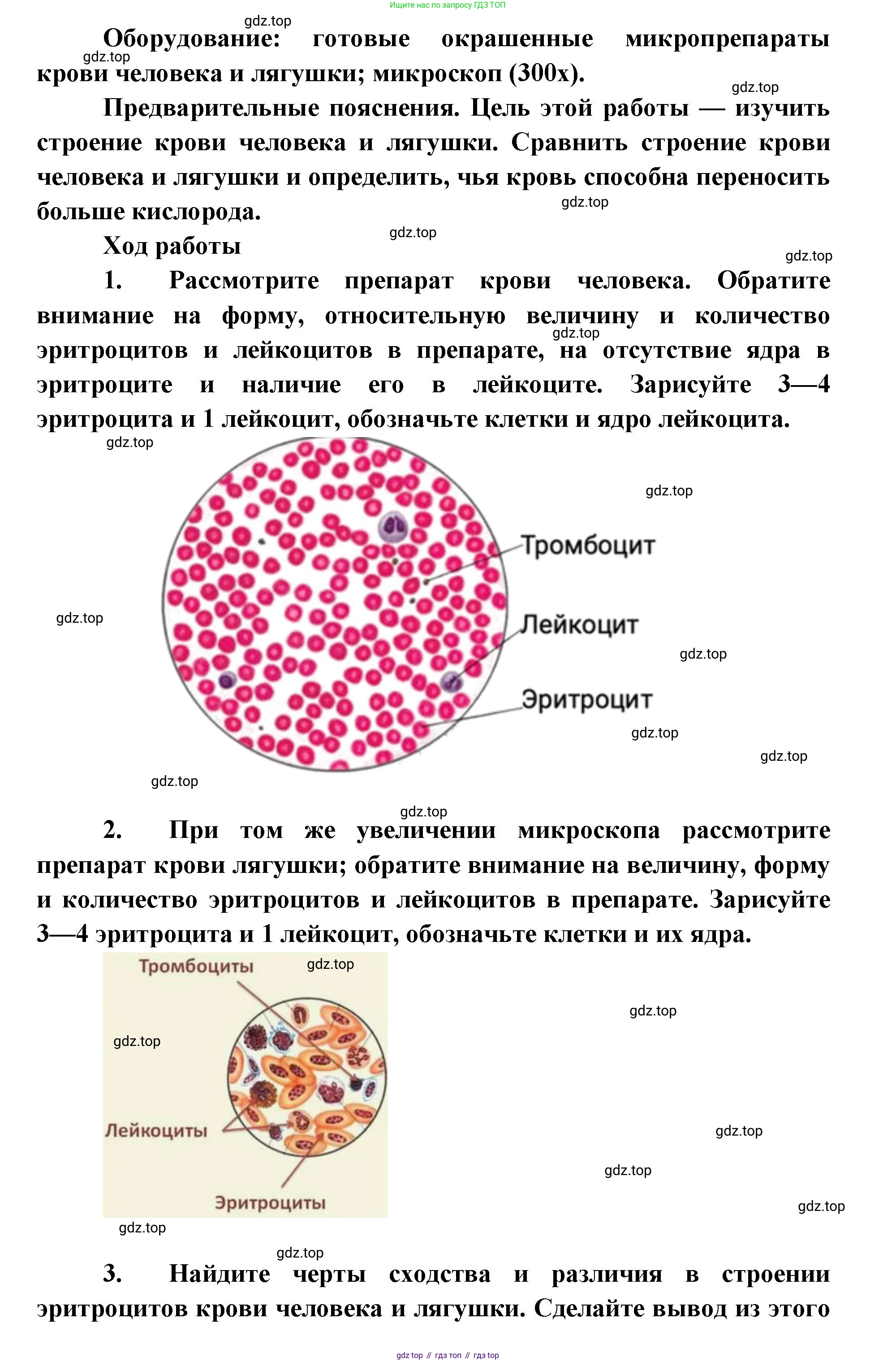 ГДЗ Биология, 9 класс Учебник, авторы: Колесов Дмитрий Васильевич, Маш Реми Давидович, Беляев Иван Николаевич, издательство Просвещение, Москва, 2021, белого цвета, страница 114, Решение (продолжение 2)