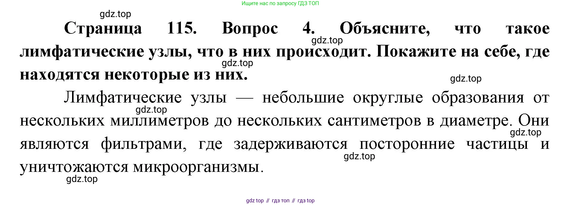 ГДЗ Биология, 9 класс Учебник, авторы: Колесов Дмитрий Васильевич, Маш Реми Давидович, Беляев Иван Николаевич, издательство Просвещение, Москва, 2021, белого цвета, страница 115, номер 4, Решение
