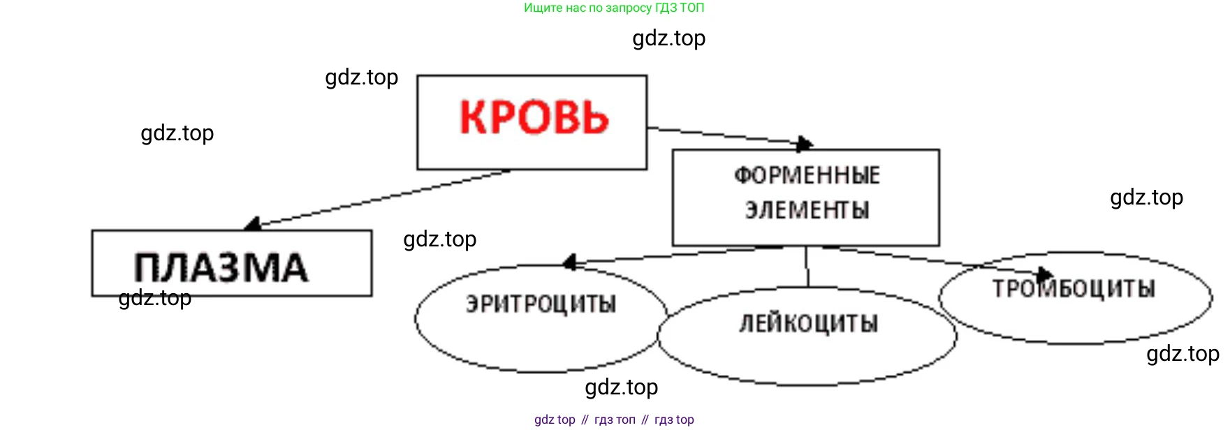 ГДЗ Биология, 9 класс Учебник, авторы: Колесов Дмитрий Васильевич, Маш Реми Давидович, Беляев Иван Николаевич, издательство Просвещение, Москва, 2021, белого цвета, страница 115, номер 1, Решение (продолжение 2)