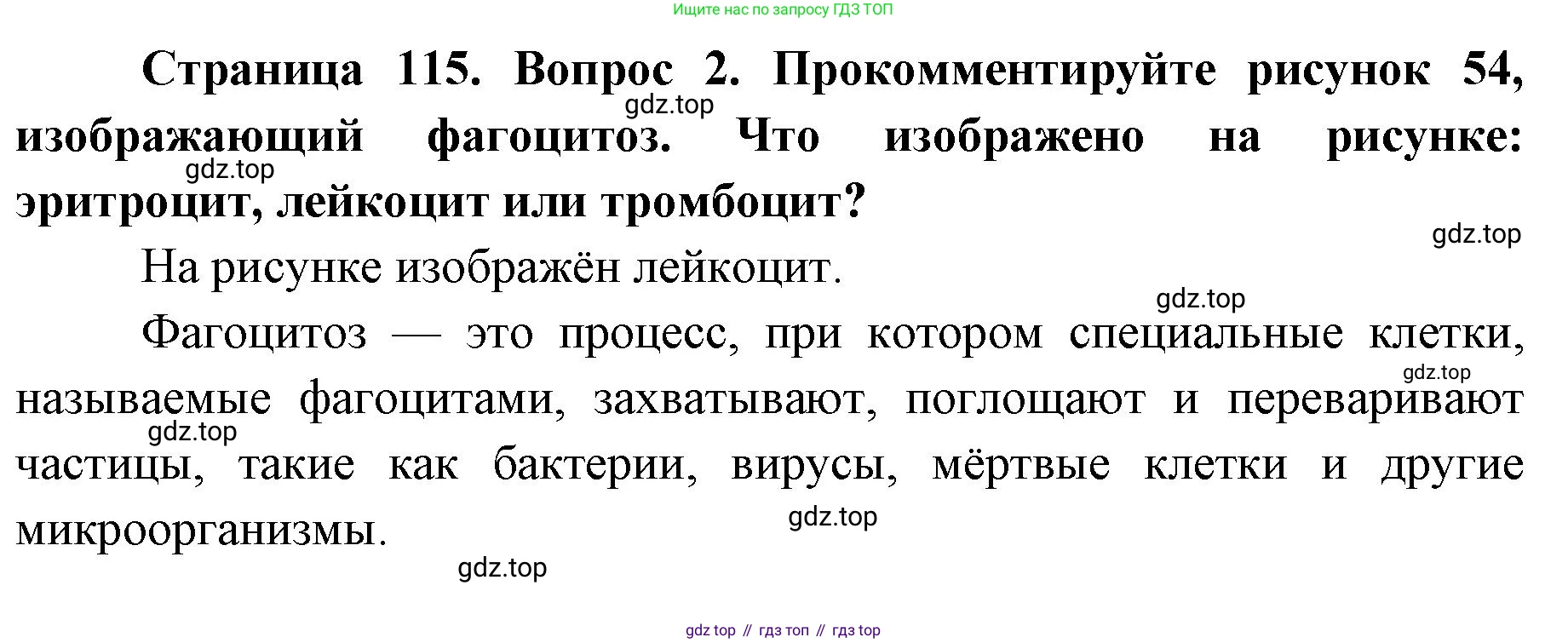 ГДЗ Биология, 9 класс Учебник, авторы: Колесов Дмитрий Васильевич, Маш Реми Давидович, Беляев Иван Николаевич, издательство Просвещение, Москва, 2021, белого цвета, страница 115, номер 2, Решение