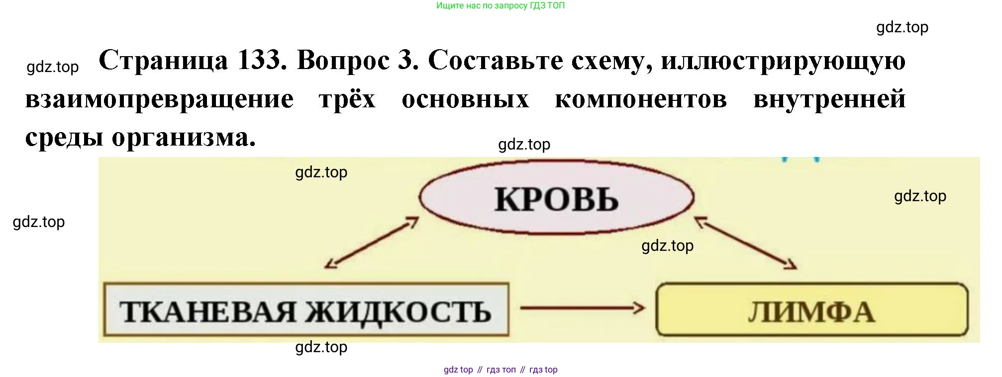 ГДЗ Биология, 9 класс Учебник, авторы: Колесов Дмитрий Васильевич, Маш Реми Давидович, Беляев Иван Николаевич, издательство Просвещение, Москва, 2021, белого цвета, страница 133, номер 3, Решение