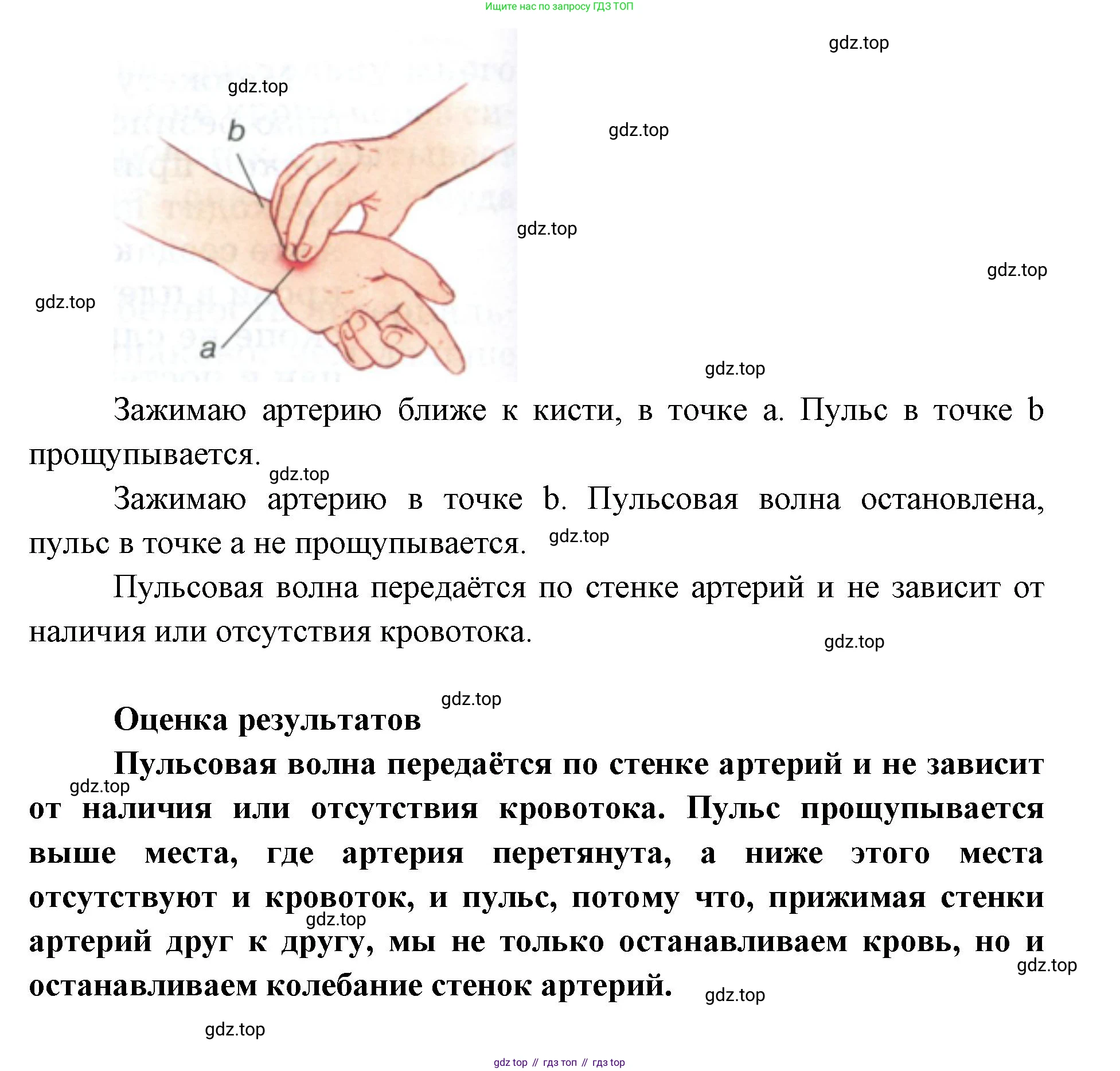 ГДЗ Биология, 9 класс Учебник, авторы: Колесов Дмитрий Васильевич, Маш Реми Давидович, Беляев Иван Николаевич, издательство Просвещение, Москва, 2021, белого цвета, страница 149, Решение (продолжение 2)