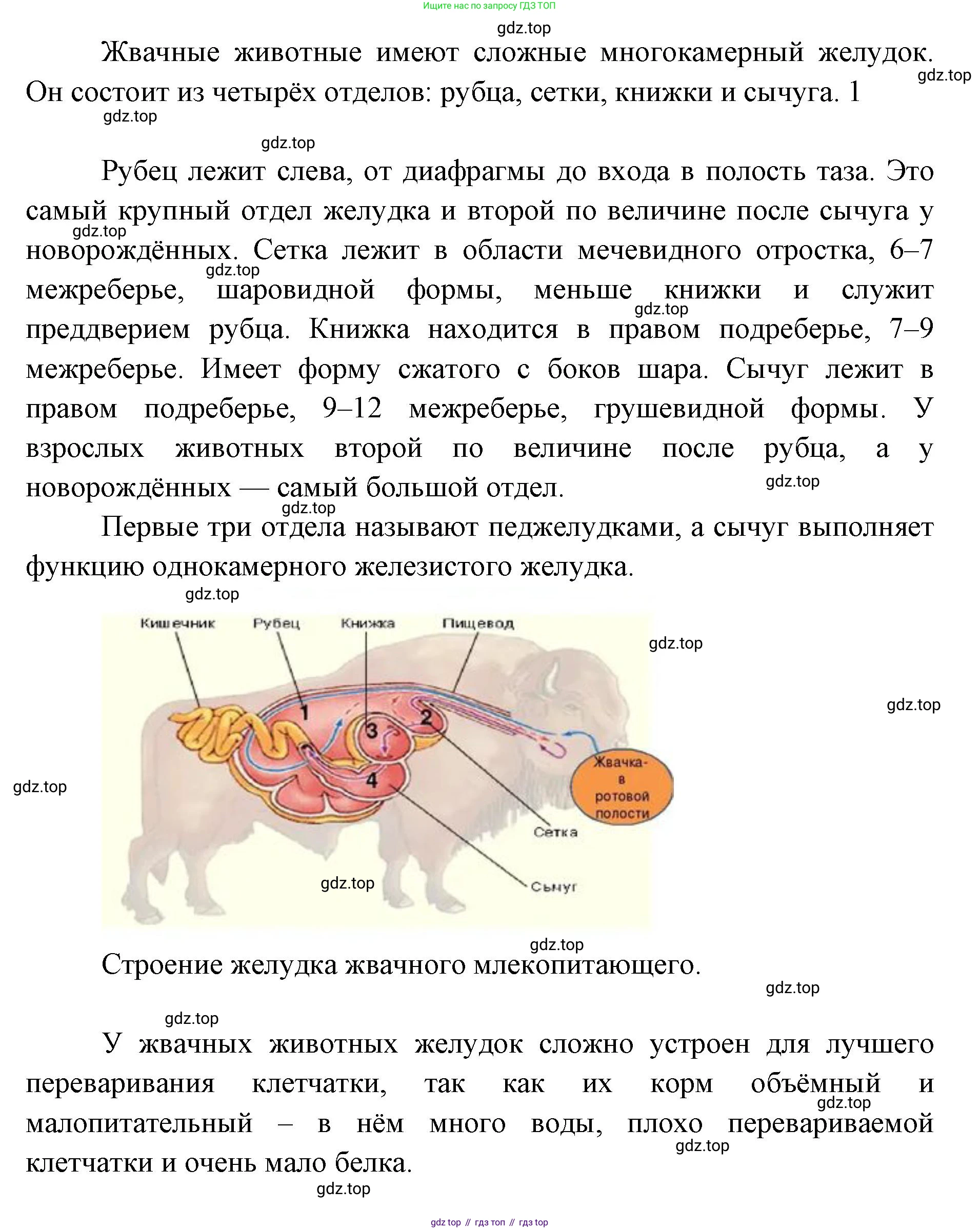 ГДЗ Биология, 9 класс Учебник, авторы: Колесов Дмитрий Васильевич, Маш Реми Давидович, Беляев Иван Николаевич, издательство Просвещение, Москва, 2021, белого цвета, страница 210, номер 3, Решение (продолжение 2)