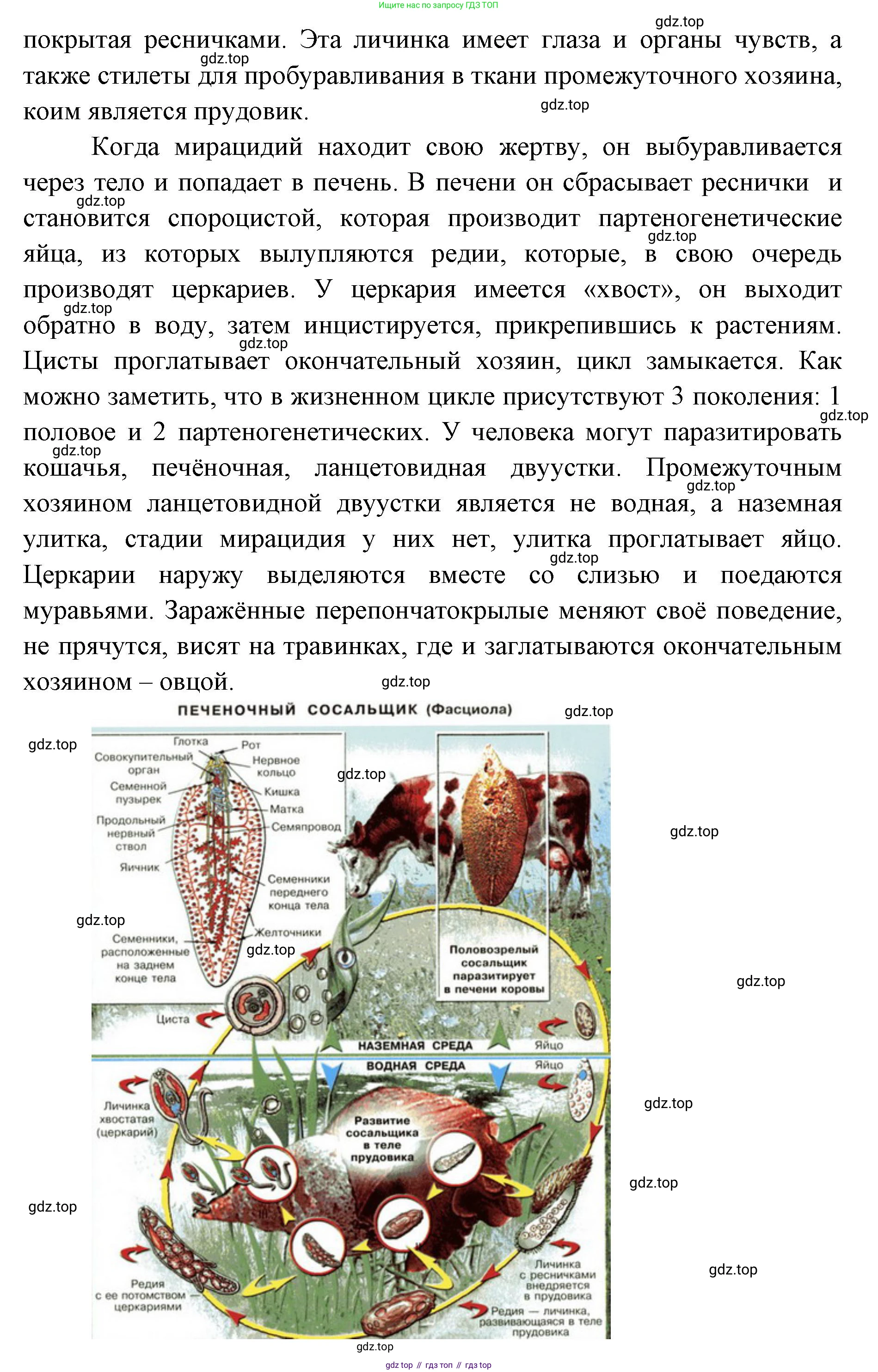 ГДЗ Биология, 9 класс Учебник, авторы: Колесов Дмитрий Васильевич, Маш Реми Давидович, Беляев Иван Николаевич, издательство Просвещение, Москва, 2021, белого цвета, страница 226, номер 1, Решение (продолжение 2)