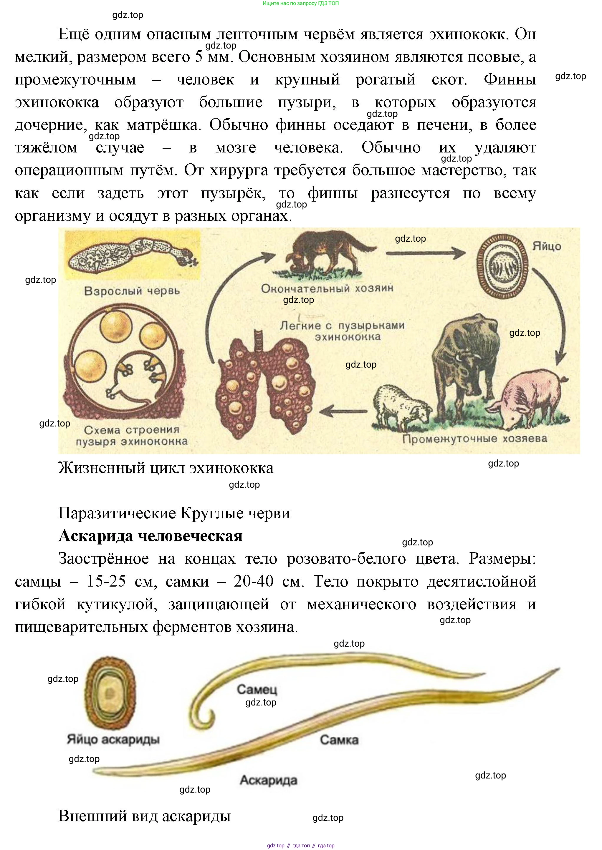 ГДЗ Биология, 9 класс Учебник, авторы: Колесов Дмитрий Васильевич, Маш Реми Давидович, Беляев Иван Николаевич, издательство Просвещение, Москва, 2021, белого цвета, страница 226, номер 1, Решение (продолжение 4)