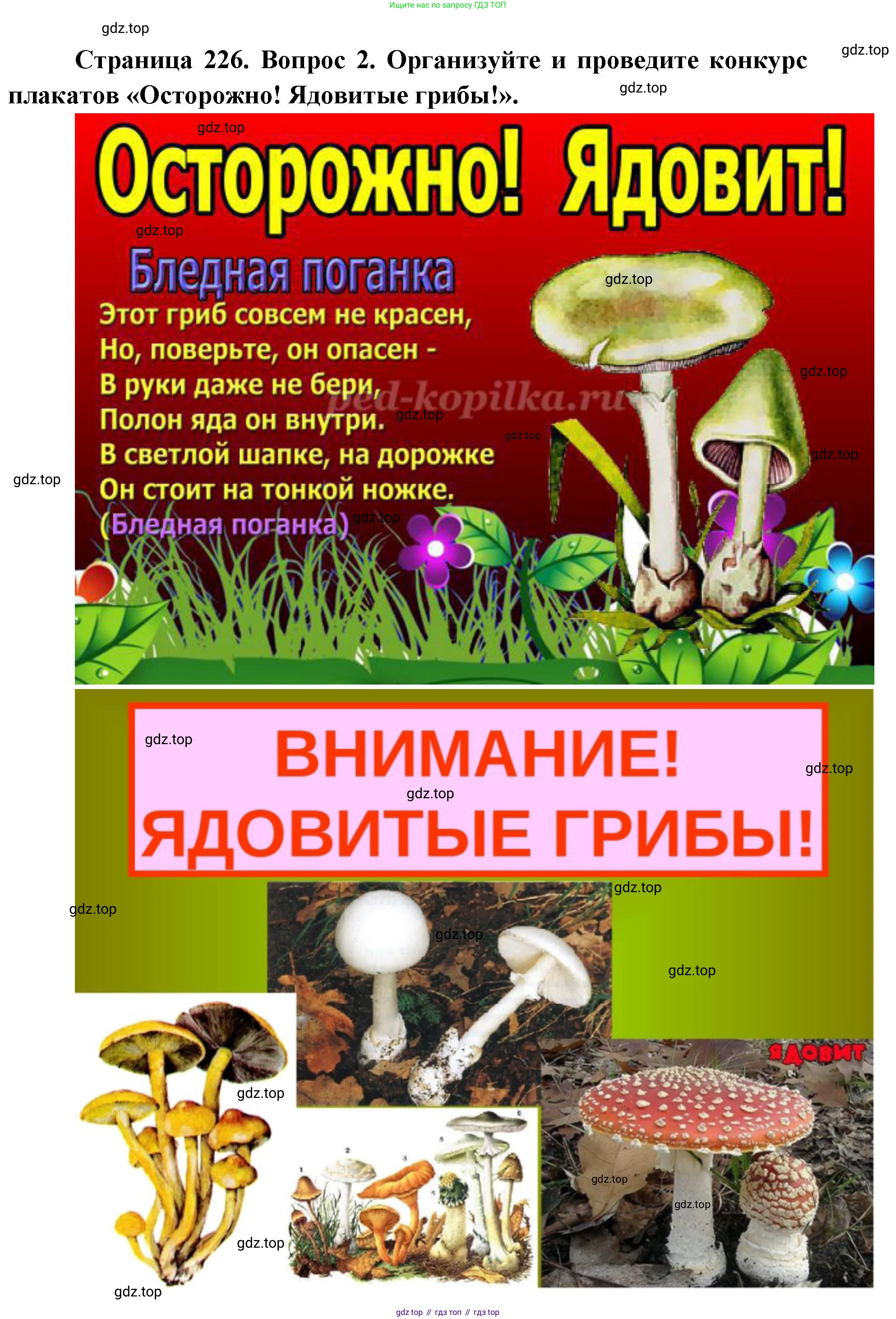 ГДЗ Биология, 9 класс Учебник, авторы: Колесов Дмитрий Васильевич, Маш Реми Давидович, Беляев Иван Николаевич, издательство Просвещение, Москва, 2021, белого цвета, страница 226, номер 2, Решение