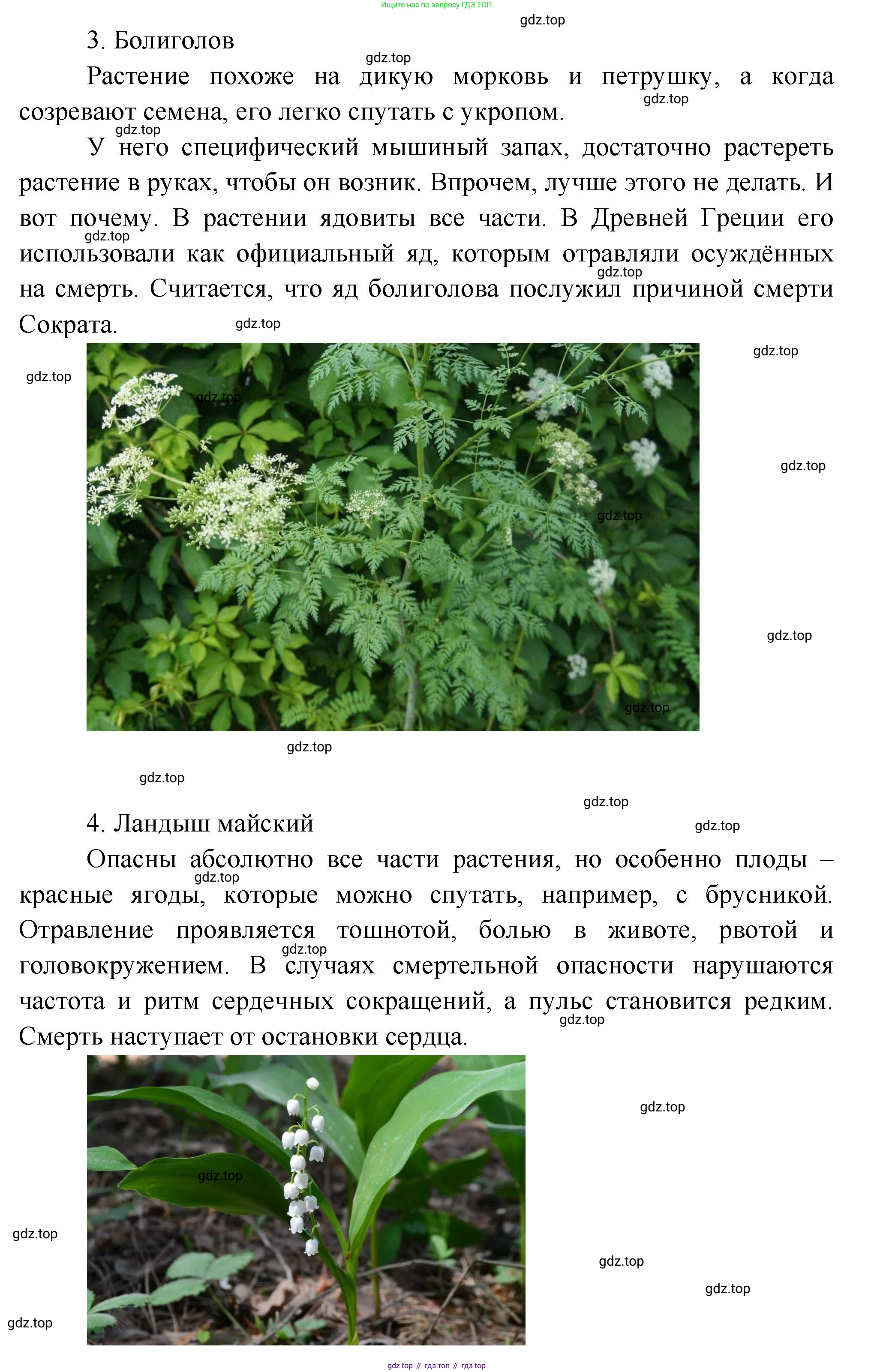 ГДЗ Биология, 9 класс Учебник, авторы: Колесов Дмитрий Васильевич, Маш Реми Давидович, Беляев Иван Николаевич, издательство Просвещение, Москва, 2021, белого цвета, страница 227, номер 3, Решение (продолжение 3)
