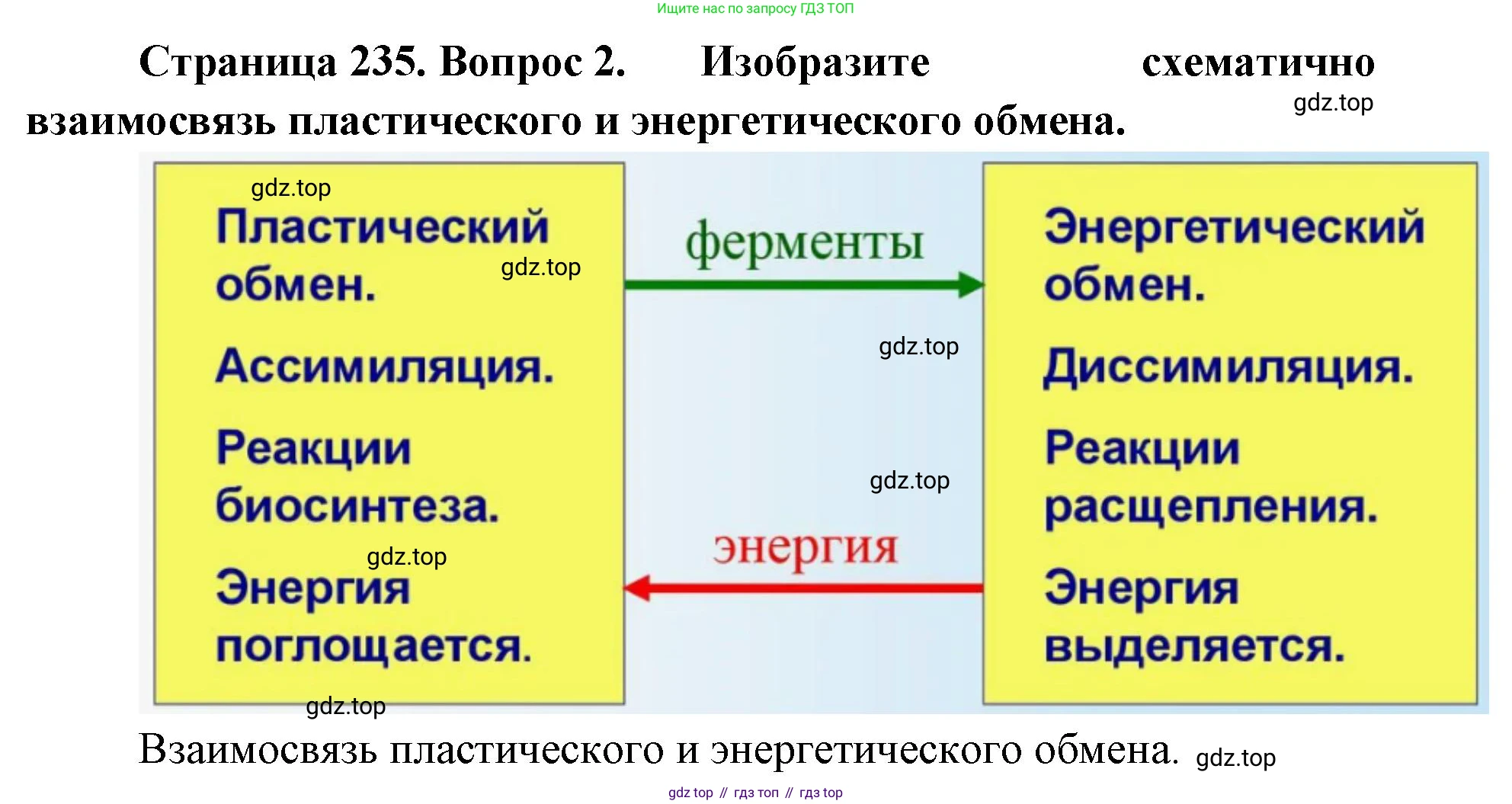 ГДЗ Биология, 9 класс Учебник, авторы: Колесов Дмитрий Васильевич, Маш Реми Давидович, Беляев Иван Николаевич, издательство Просвещение, Москва, 2021, белого цвета, страница 235, номер 2, Решение