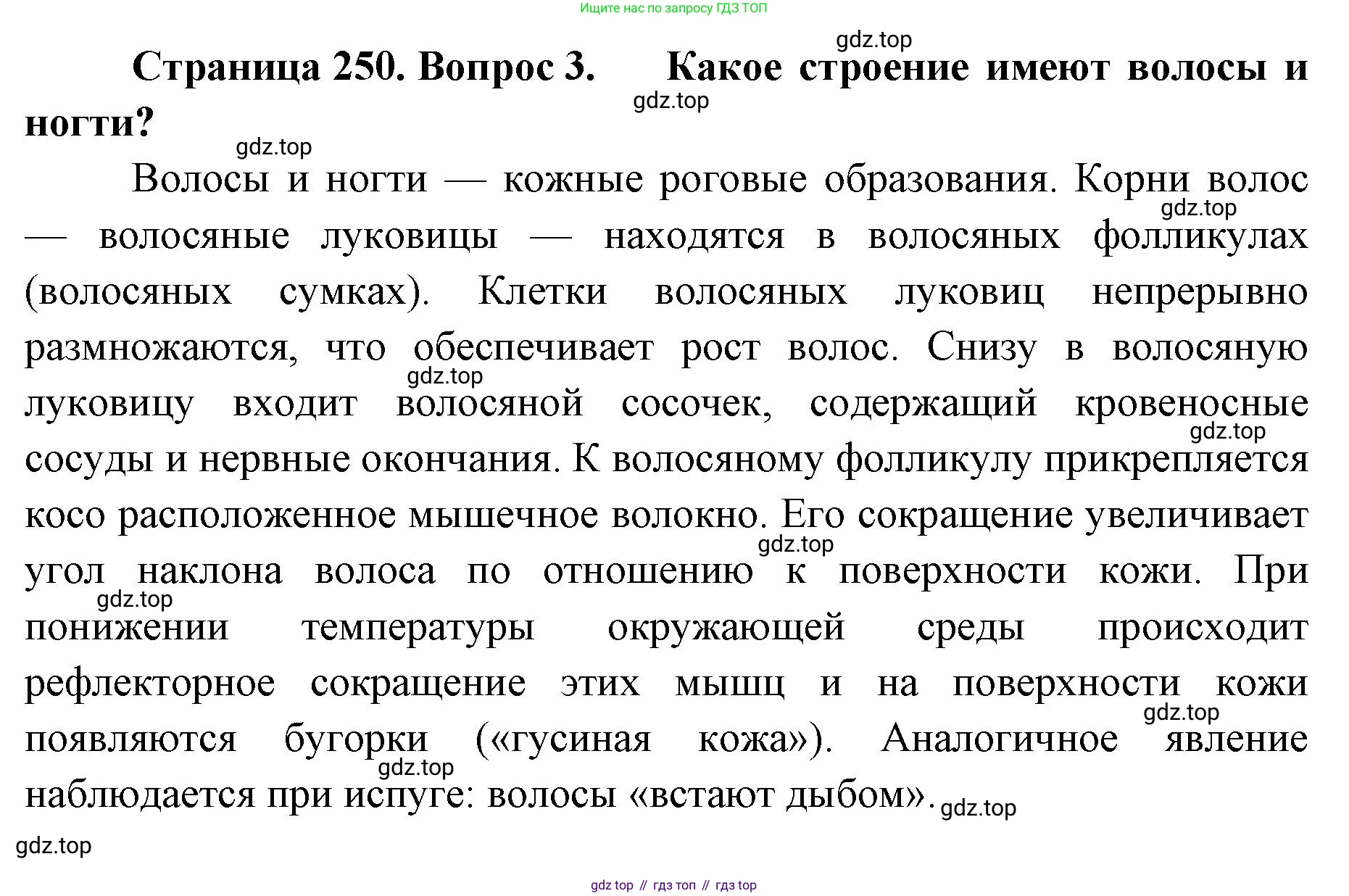 ГДЗ Биология, 9 класс Учебник, авторы: Колесов Дмитрий Васильевич, Маш Реми Давидович, Беляев Иван Николаевич, издательство Просвещение, Москва, 2021, белого цвета, страница 250, номер 3, Решение
