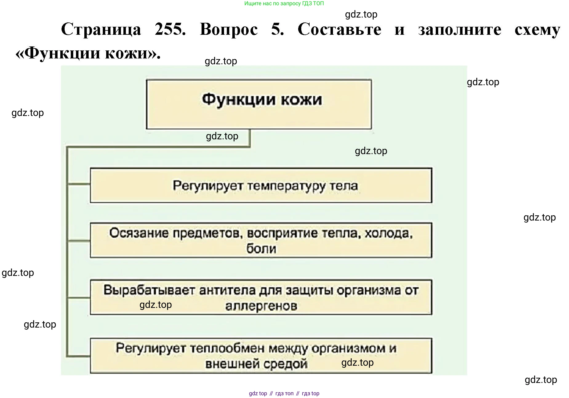 ГДЗ Биология, 9 класс Учебник, авторы: Колесов Дмитрий Васильевич, Маш Реми Давидович, Беляев Иван Николаевич, издательство Просвещение, Москва, 2021, белого цвета, страница 255, номер 5, Решение