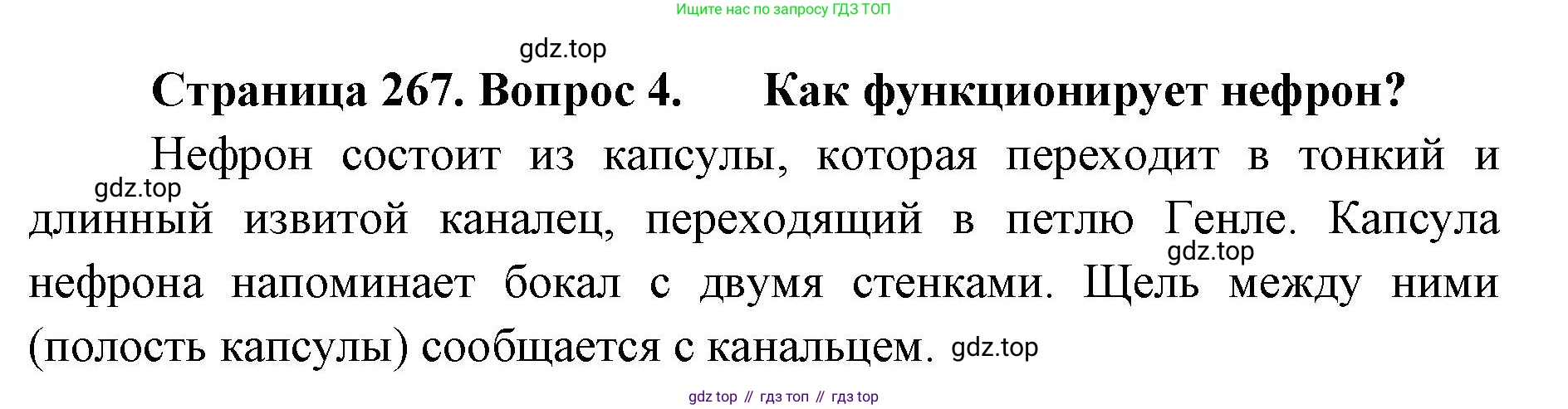 ГДЗ Биология, 9 класс Учебник, авторы: Колесов Дмитрий Васильевич, Маш Реми Давидович, Беляев Иван Николаевич, издательство Просвещение, Москва, 2021, белого цвета, страница 267, номер 4, Решение