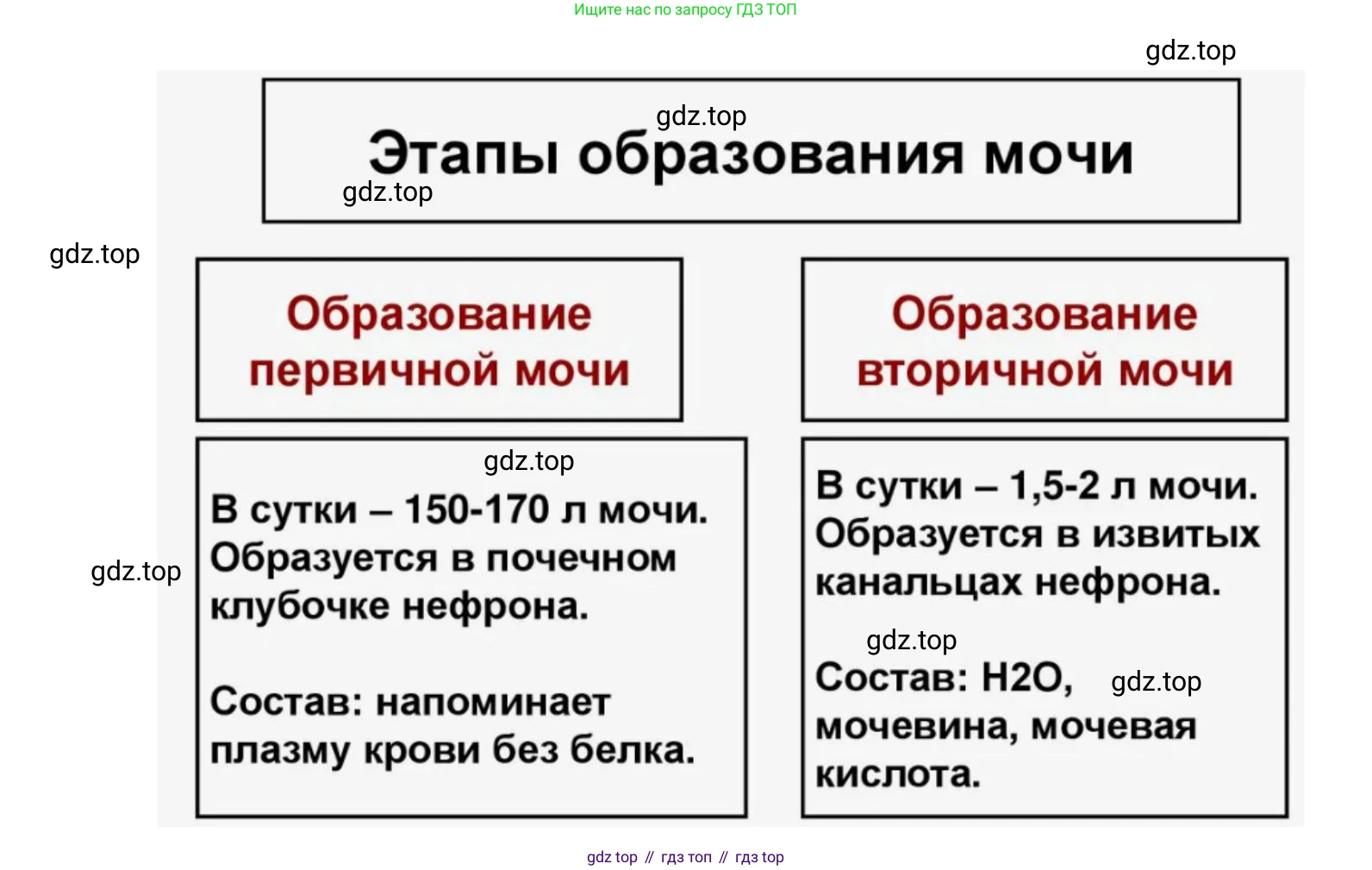 ГДЗ Биология, 9 класс Учебник, авторы: Колесов Дмитрий Васильевич, Маш Реми Давидович, Беляев Иван Николаевич, издательство Просвещение, Москва, 2021, белого цвета, страница 273, номер 2, Решение (продолжение 2)