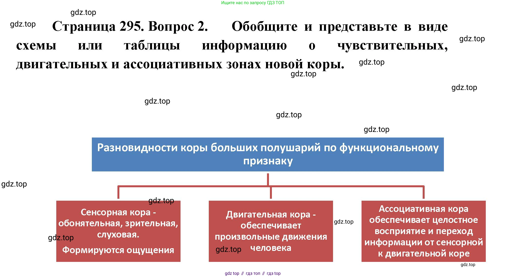 ГДЗ Биология, 9 класс Учебник, авторы: Колесов Дмитрий Васильевич, Маш Реми Давидович, Беляев Иван Николаевич, издательство Просвещение, Москва, 2021, белого цвета, страница 295, номер 2, Решение