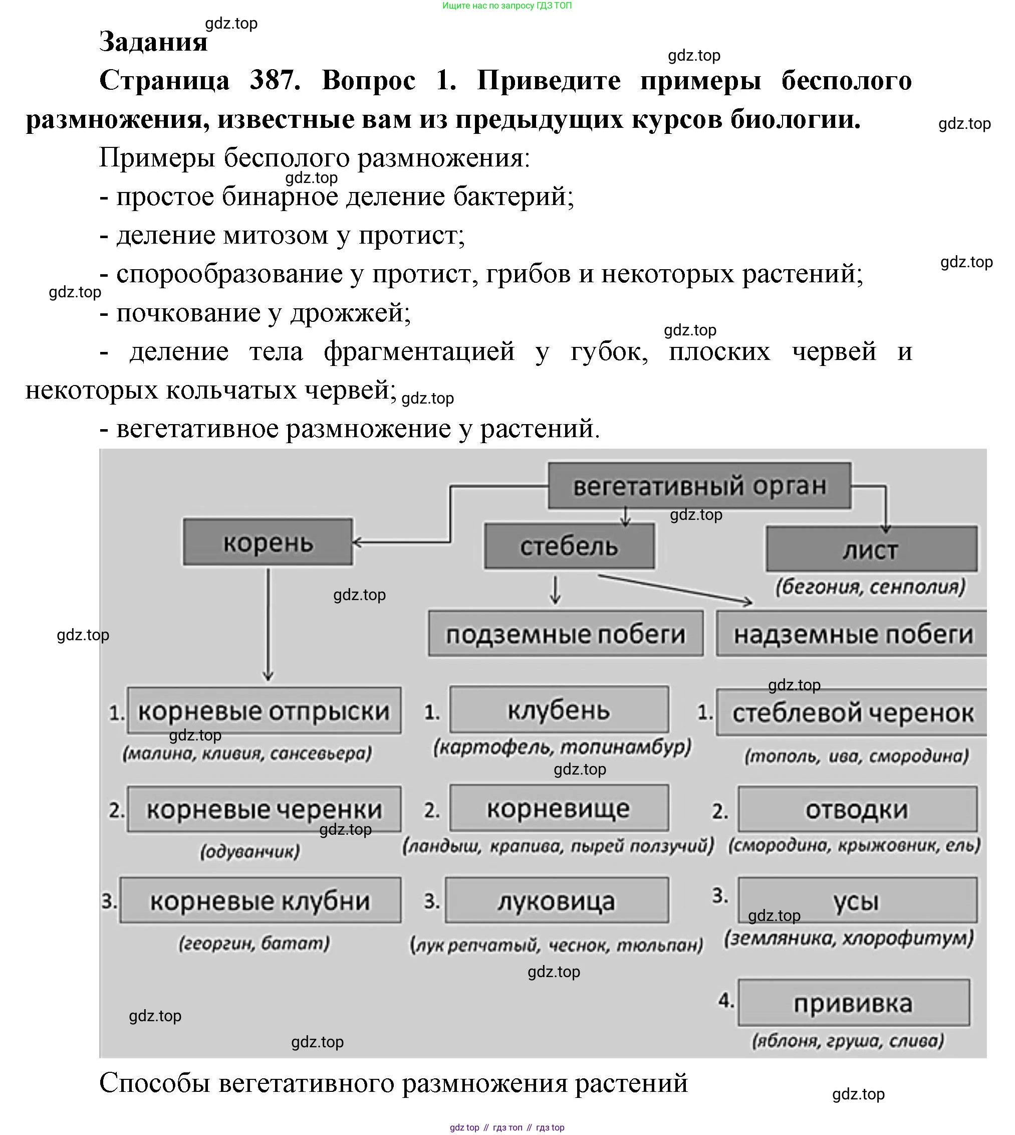 ГДЗ Биология, 9 класс Учебник, авторы: Колесов Дмитрий Васильевич, Маш Реми Давидович, Беляев Иван Николаевич, издательство Просвещение, Москва, 2021, белого цвета, страница 387, номер 1, Решение