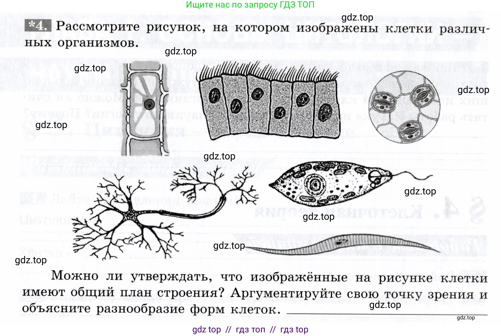 Биология, 9 класс рабочая тетрадь, авторы: Пасечник Владимир Васильевич, Швецов Глеб Геннадьевич, издательство Просвещение, Москва, 2019, страница 14, номер 4, Условие