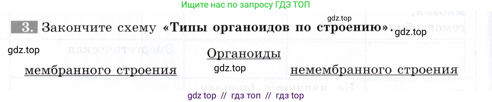 Биология, 9 класс рабочая тетрадь, авторы: Пасечник Владимир Васильевич, Швецов Глеб Геннадьевич, издательство Просвещение, Москва, 2019, страница 18, номер 3, Условие