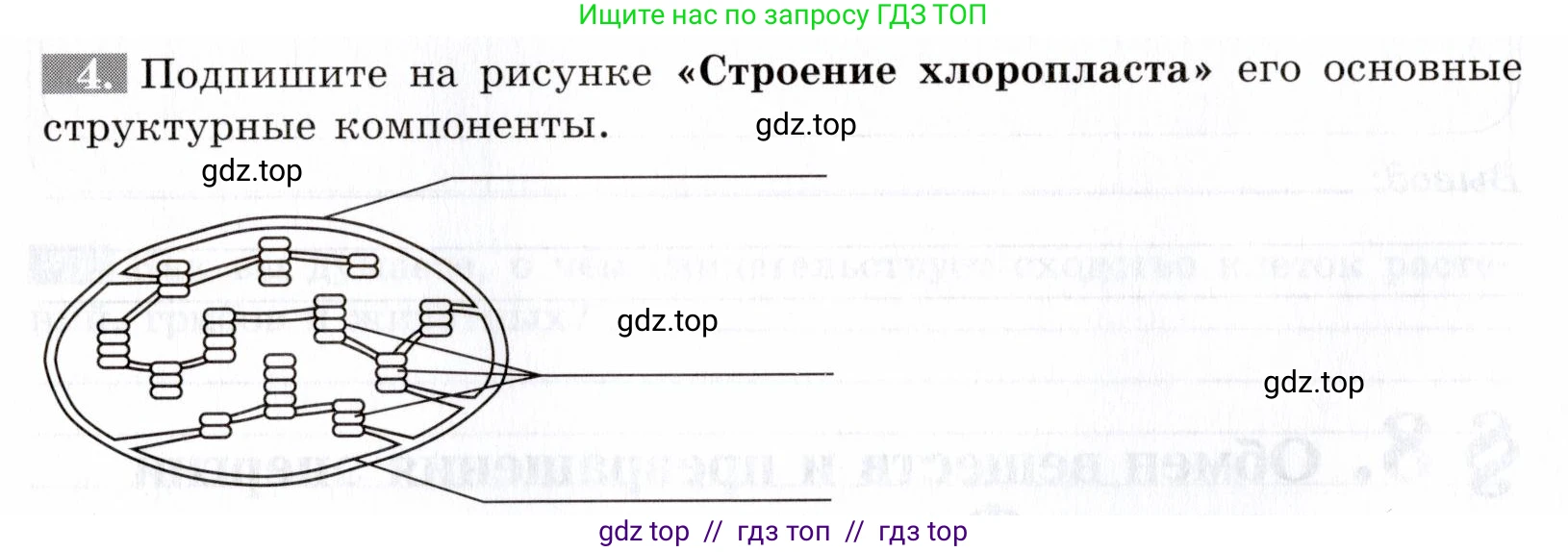 Биология, 9 класс рабочая тетрадь, авторы: Пасечник Владимир Васильевич, Швецов Глеб Геннадьевич, издательство Просвещение, Москва, 2019, страница 22, номер 4, Условие