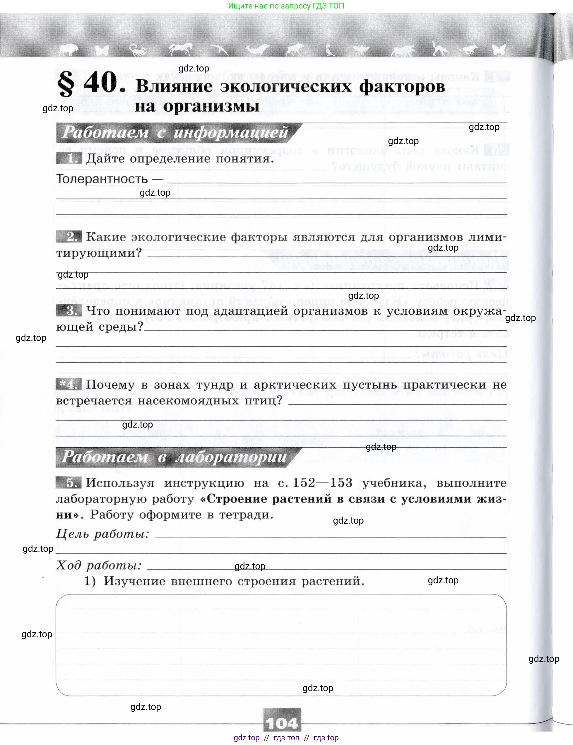 Биология, 9 класс рабочая тетрадь, авторы: Пасечник Владимир Васильевич, Швецов Глеб Геннадьевич, издательство Просвещение, Москва, 2019, страница 104
