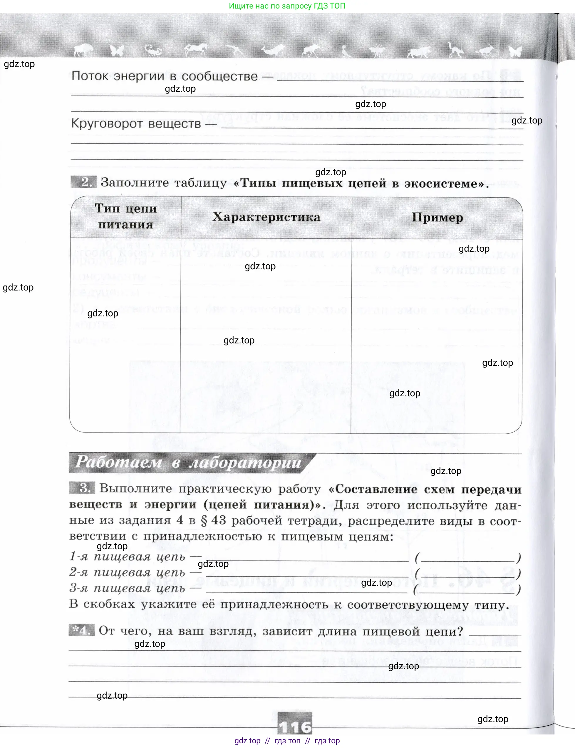 Биология, 9 класс рабочая тетрадь, авторы: Пасечник Владимир Васильевич, Швецов Глеб Геннадьевич, издательство Просвещение, Москва, 2019, страница 116