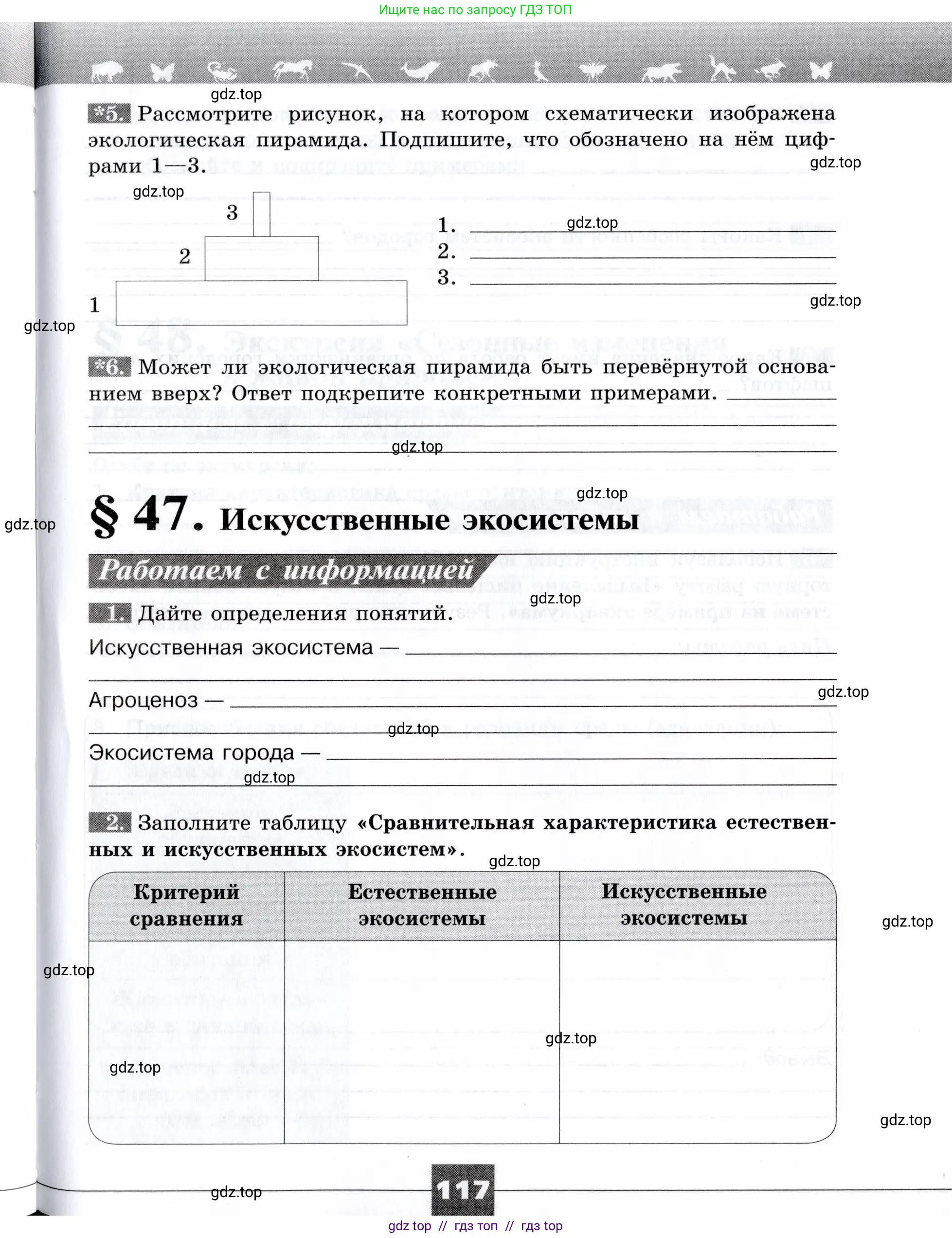 Биология, 9 класс рабочая тетрадь, авторы: Пасечник Владимир Васильевич, Швецов Глеб Геннадьевич, издательство Просвещение, Москва, 2019, страница 117