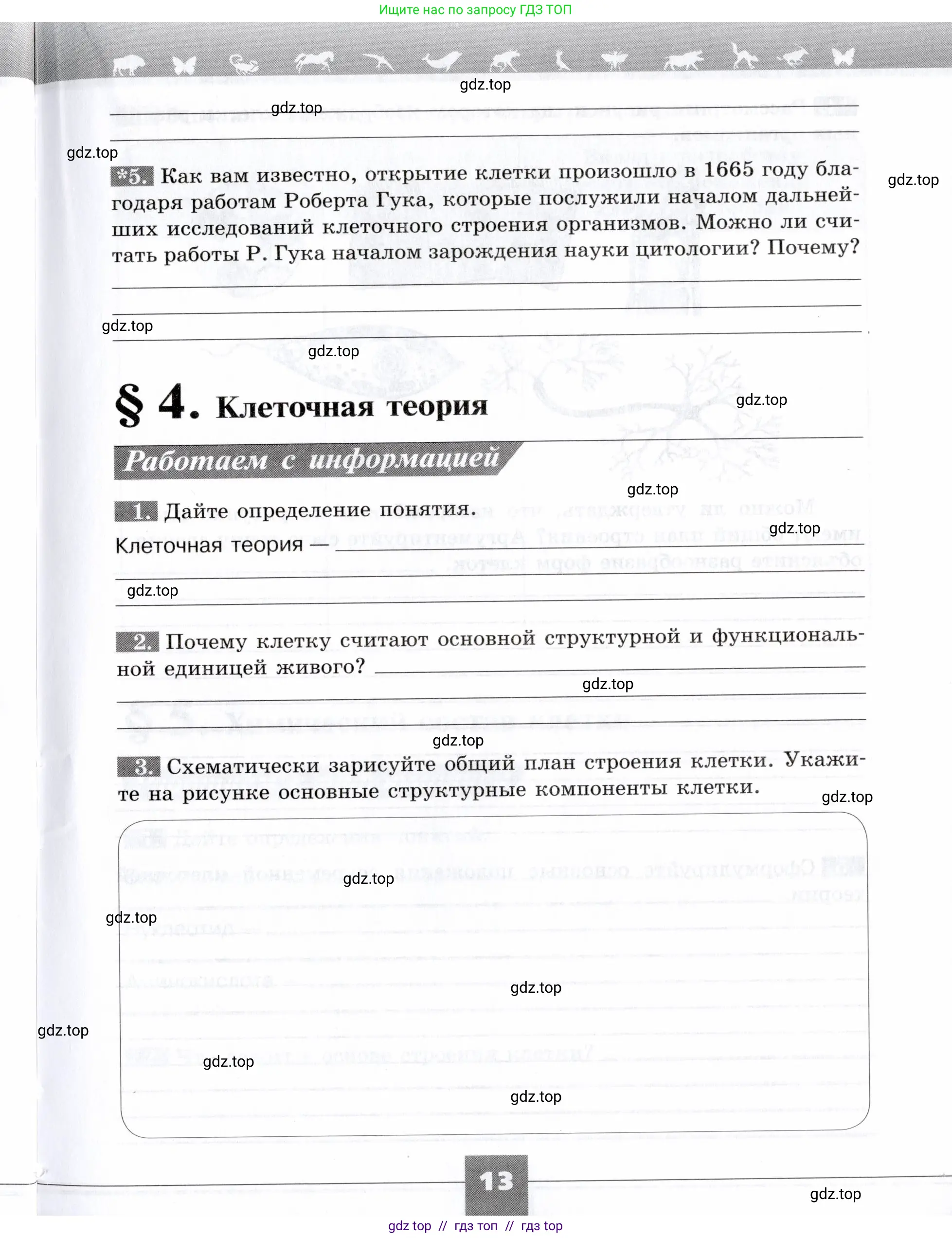Биология, 9 класс рабочая тетрадь, авторы: Пасечник Владимир Васильевич, Швецов Глеб Геннадьевич, издательство Просвещение, Москва, 2019, страница 13