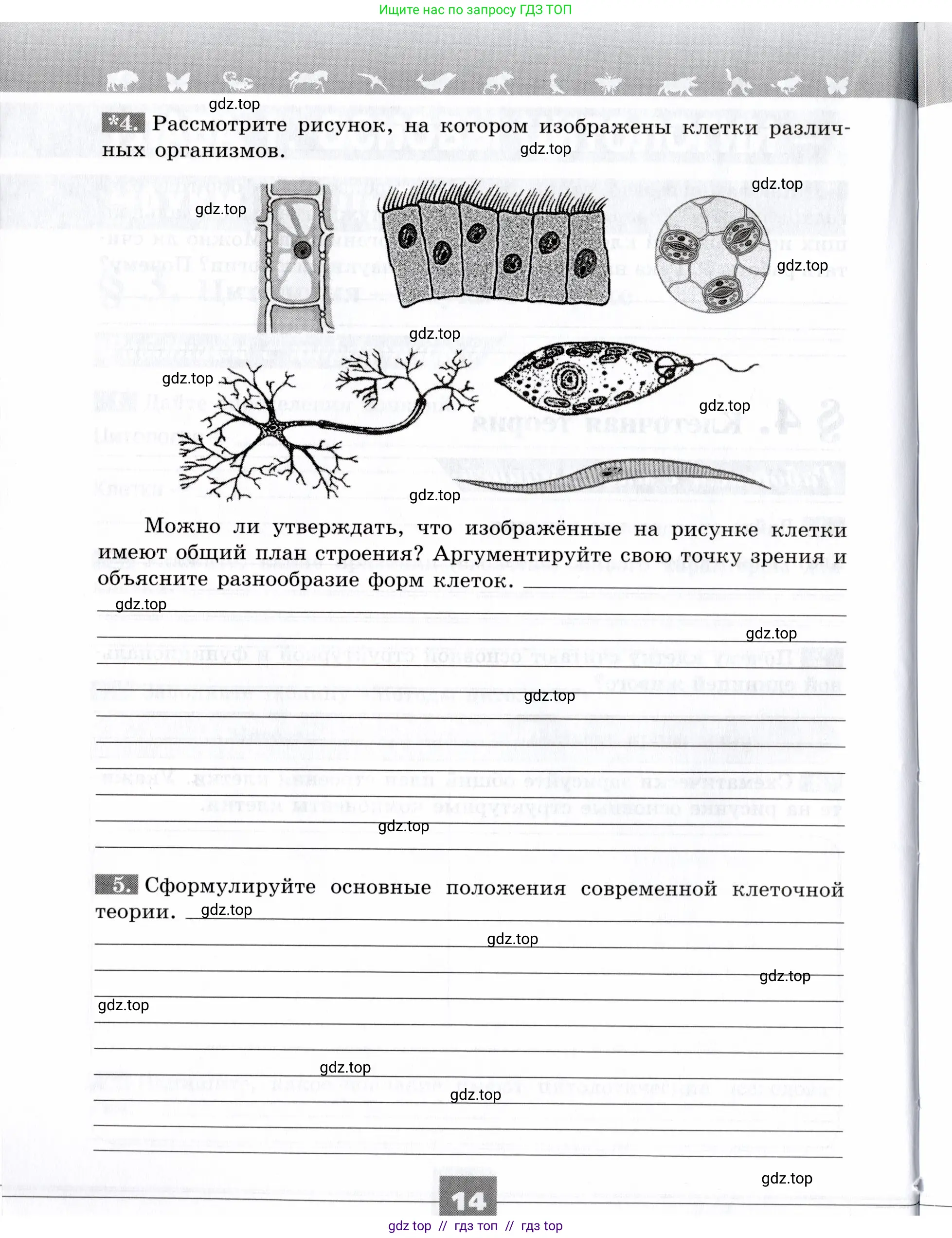 Биология, 9 класс рабочая тетрадь, авторы: Пасечник Владимир Васильевич, Швецов Глеб Геннадьевич, издательство Просвещение, Москва, 2019, страница 14