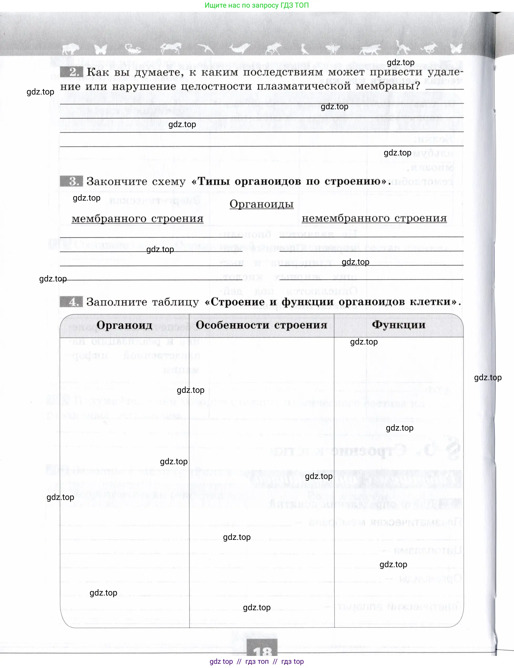Биология, 9 класс рабочая тетрадь, авторы: Пасечник Владимир Васильевич, Швецов Глеб Геннадьевич, издательство Просвещение, Москва, 2019, страница 18