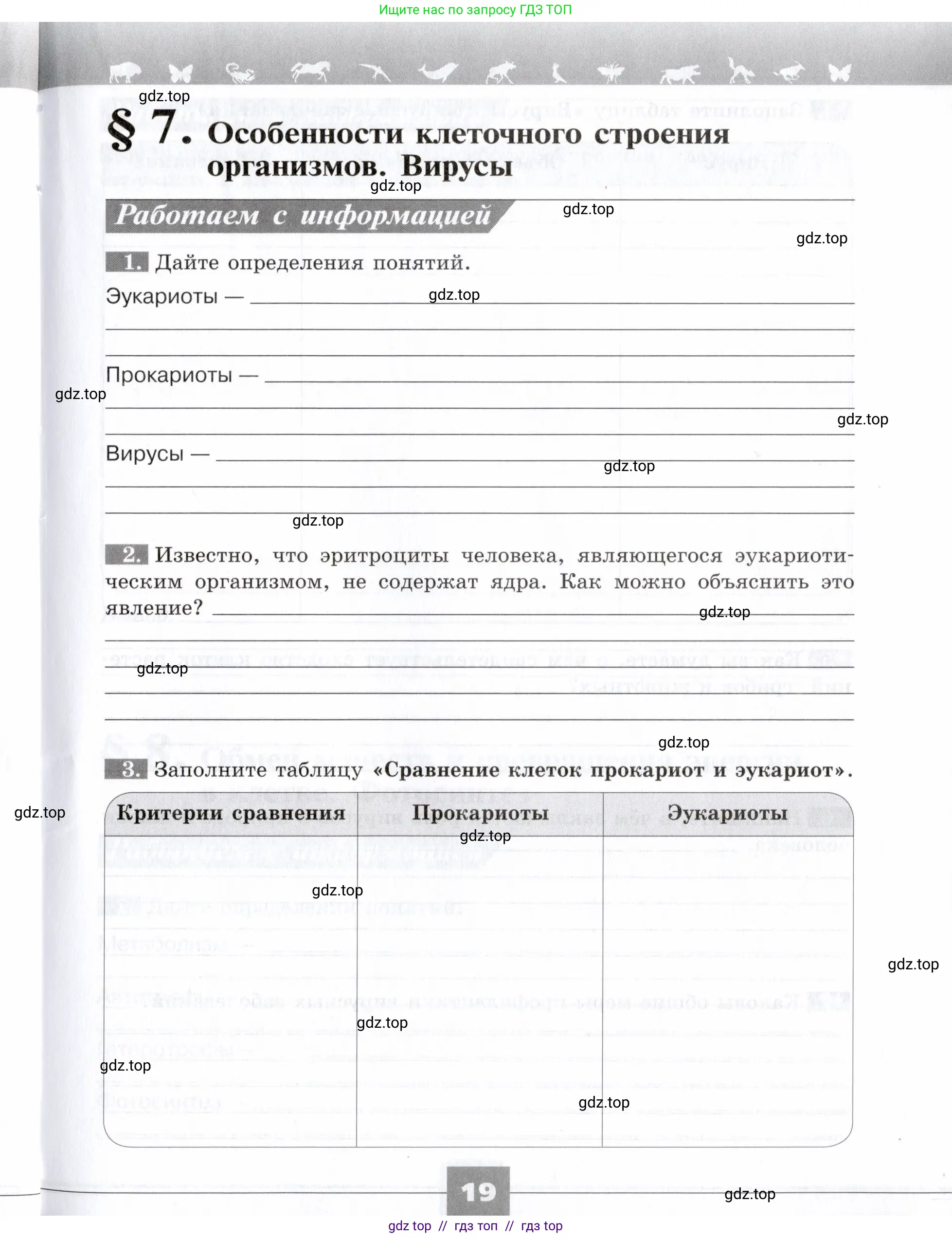 Биология, 9 класс рабочая тетрадь, авторы: Пасечник Владимир Васильевич, Швецов Глеб Геннадьевич, издательство Просвещение, Москва, 2019, страница 19
