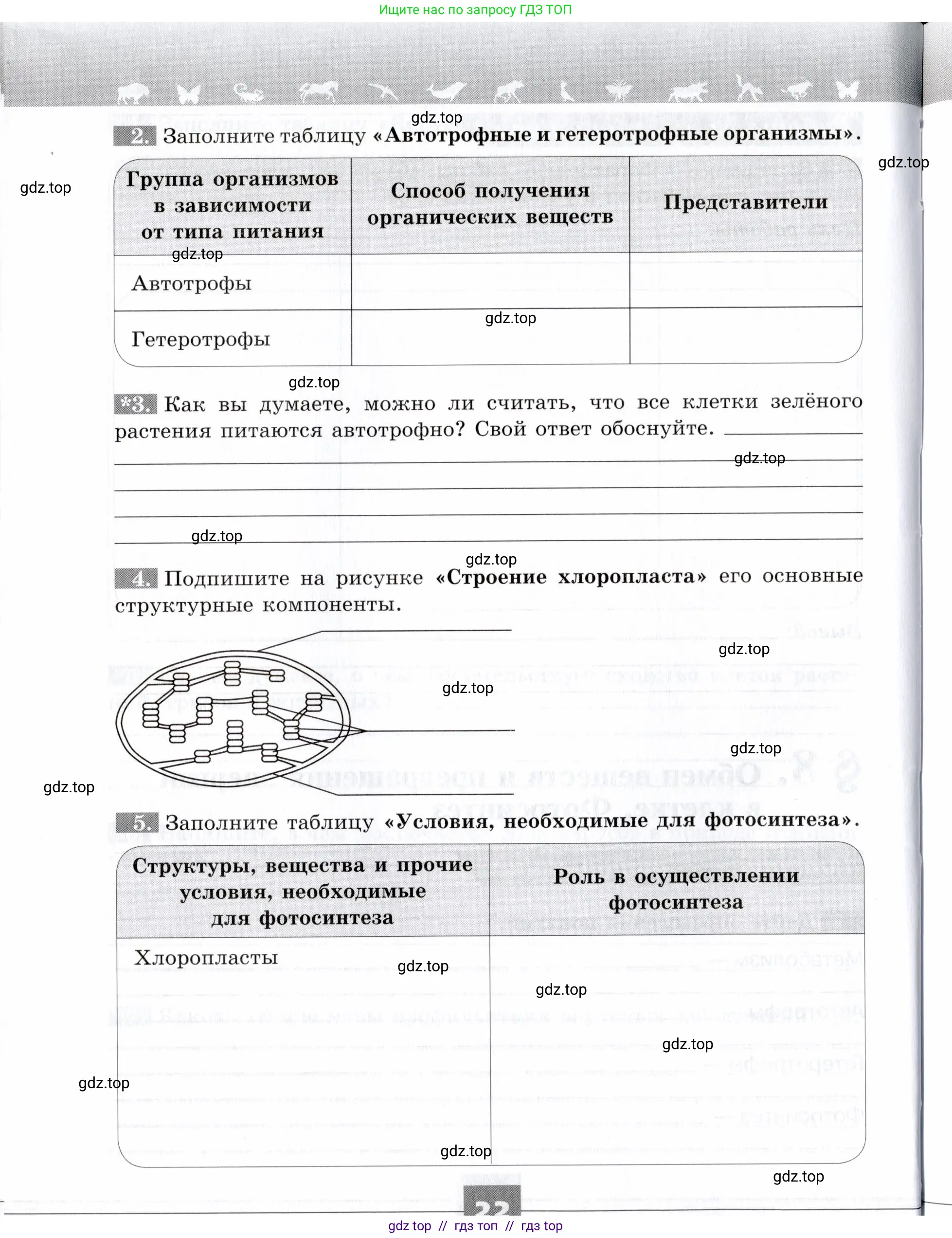 Биология, 9 класс рабочая тетрадь, авторы: Пасечник Владимир Васильевич, Швецов Глеб Геннадьевич, издательство Просвещение, Москва, 2019, страница 22