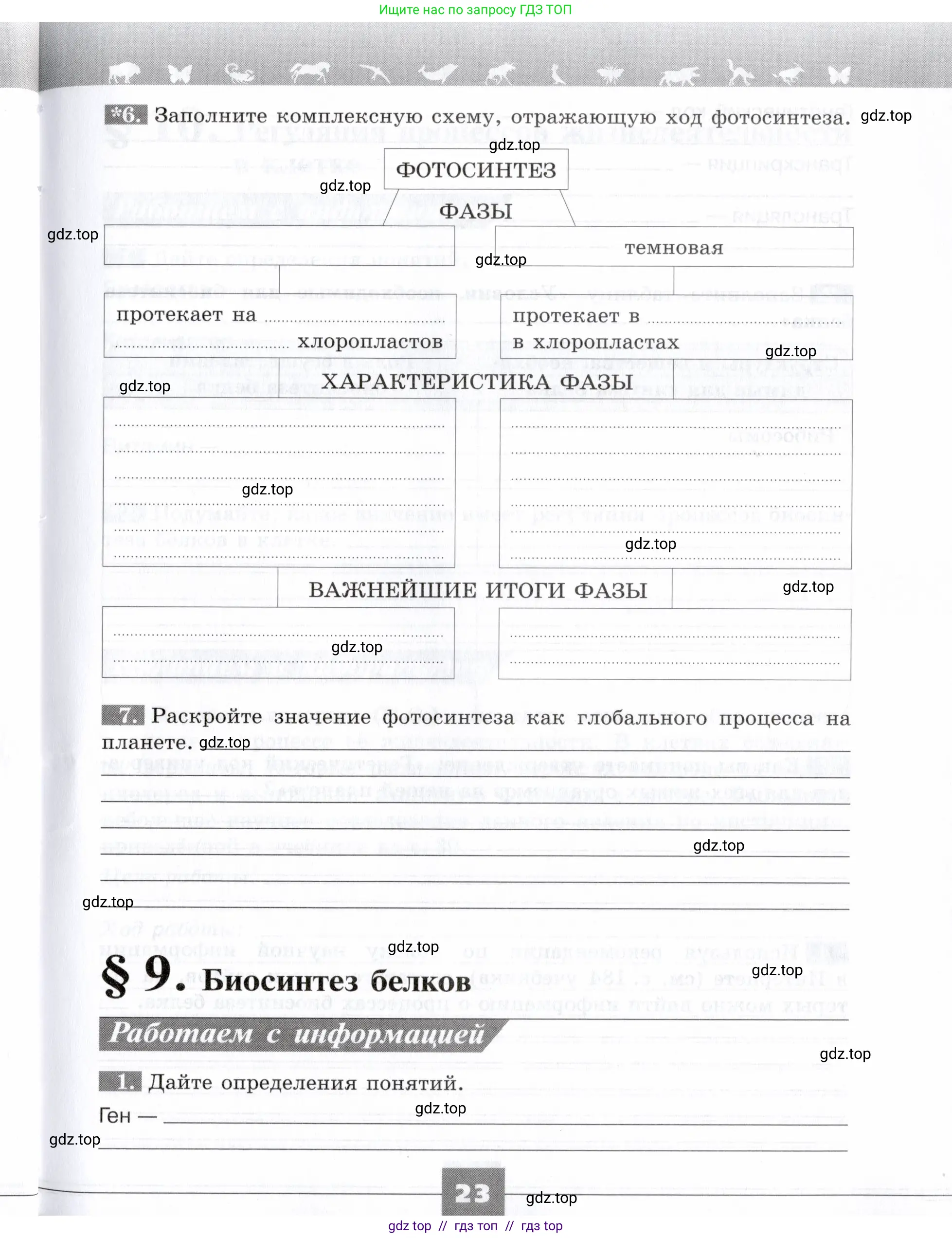 Биология, 9 класс рабочая тетрадь, авторы: Пасечник Владимир Васильевич, Швецов Глеб Геннадьевич, издательство Просвещение, Москва, 2019, страница 23
