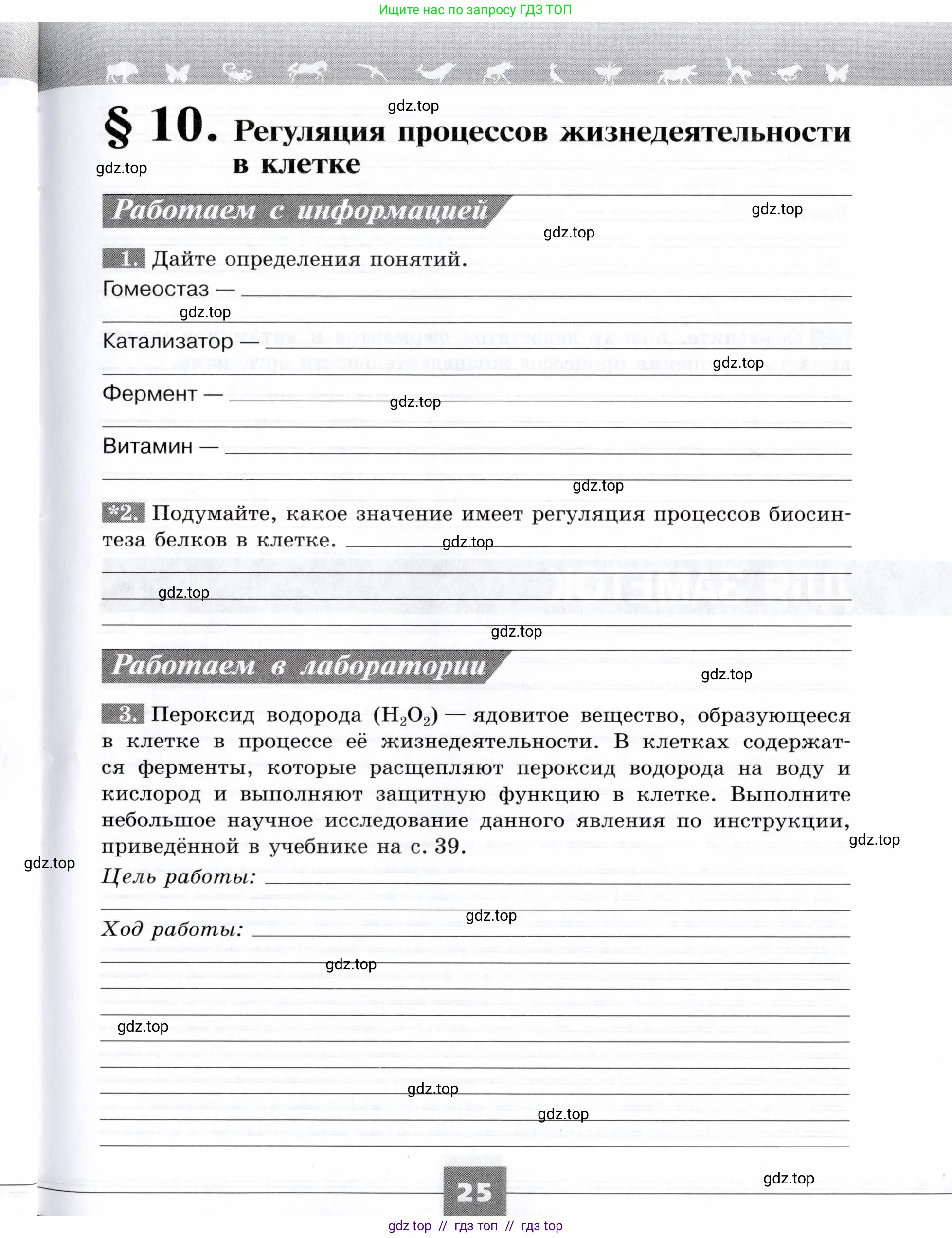 Биология, 9 класс рабочая тетрадь, авторы: Пасечник Владимир Васильевич, Швецов Глеб Геннадьевич, издательство Просвещение, Москва, 2019, страница 25