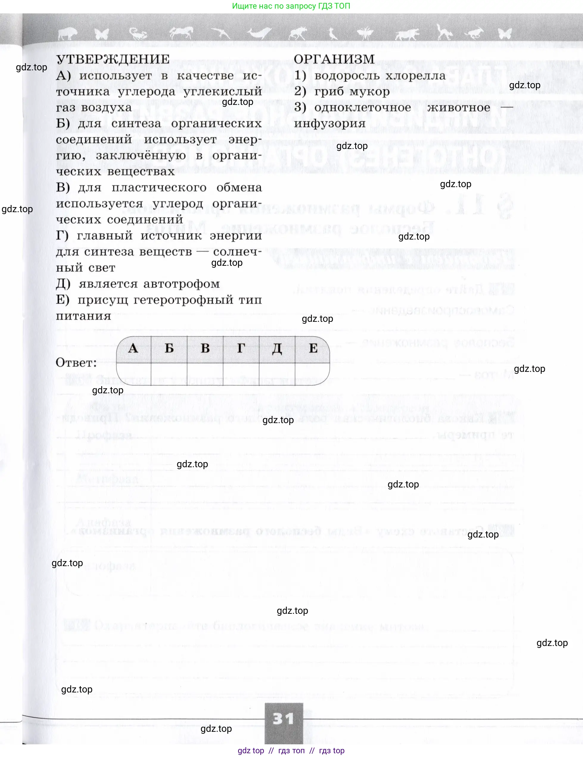 Биология, 9 класс рабочая тетрадь, авторы: Пасечник Владимир Васильевич, Швецов Глеб Геннадьевич, издательство Просвещение, Москва, 2019, страница 31