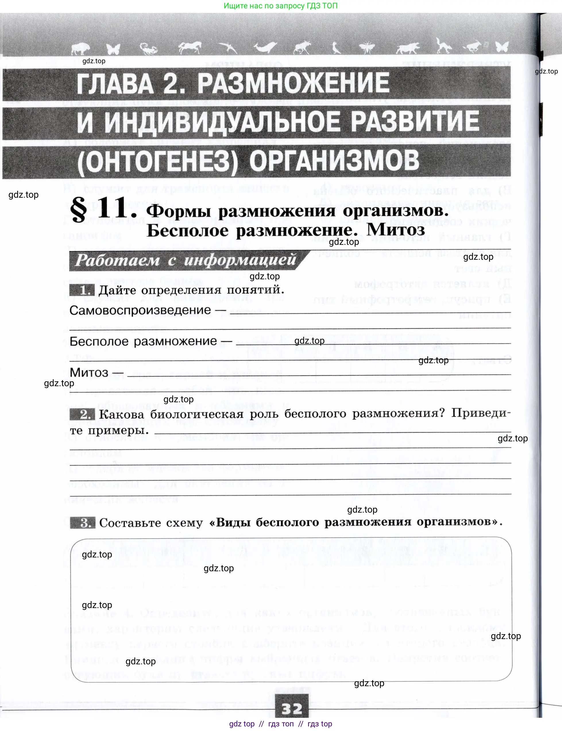 Биология, 9 класс рабочая тетрадь, авторы: Пасечник Владимир Васильевич, Швецов Глеб Геннадьевич, издательство Просвещение, Москва, 2019, страница 32