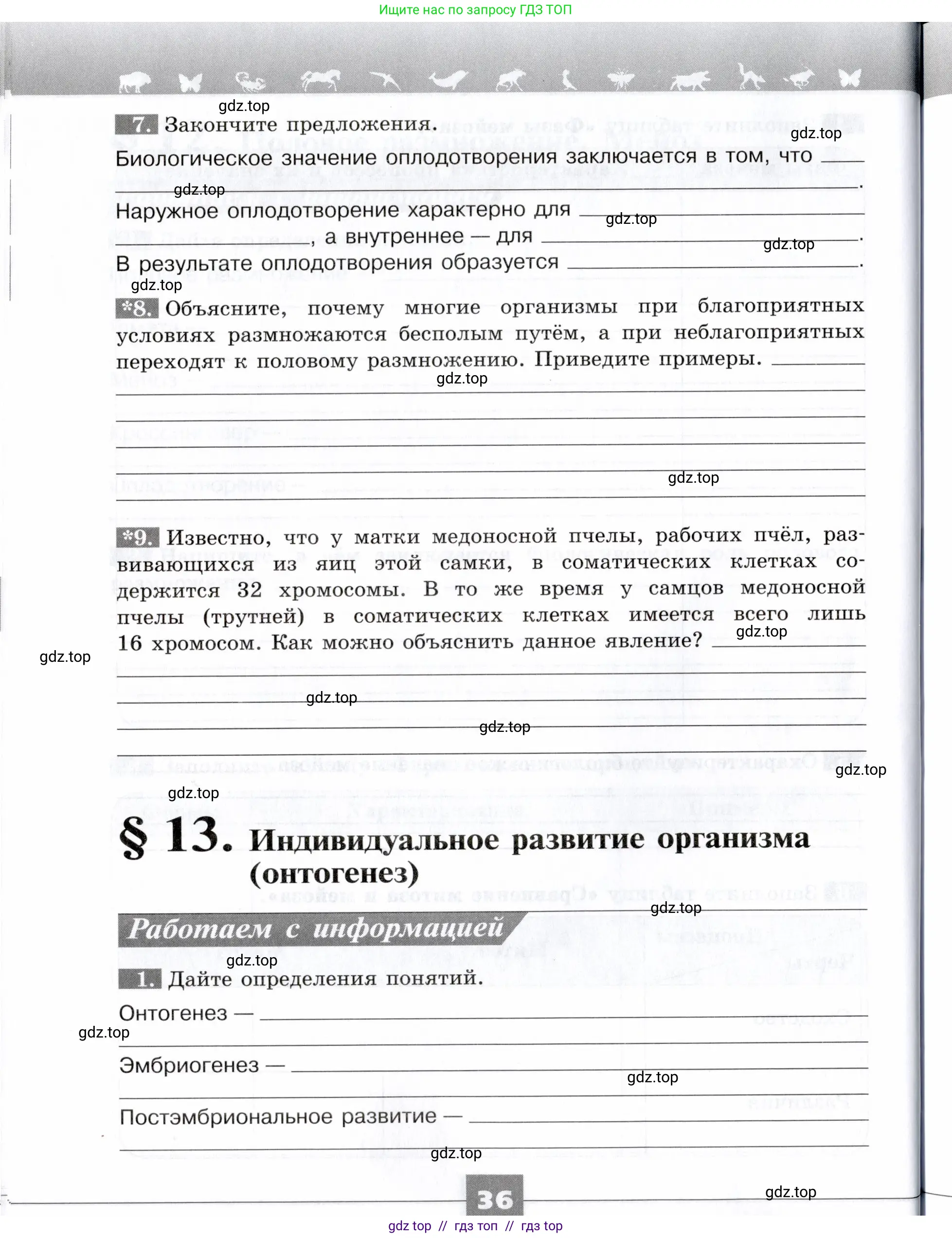 Биология, 9 класс рабочая тетрадь, авторы: Пасечник Владимир Васильевич, Швецов Глеб Геннадьевич, издательство Просвещение, Москва, 2019, страница 36