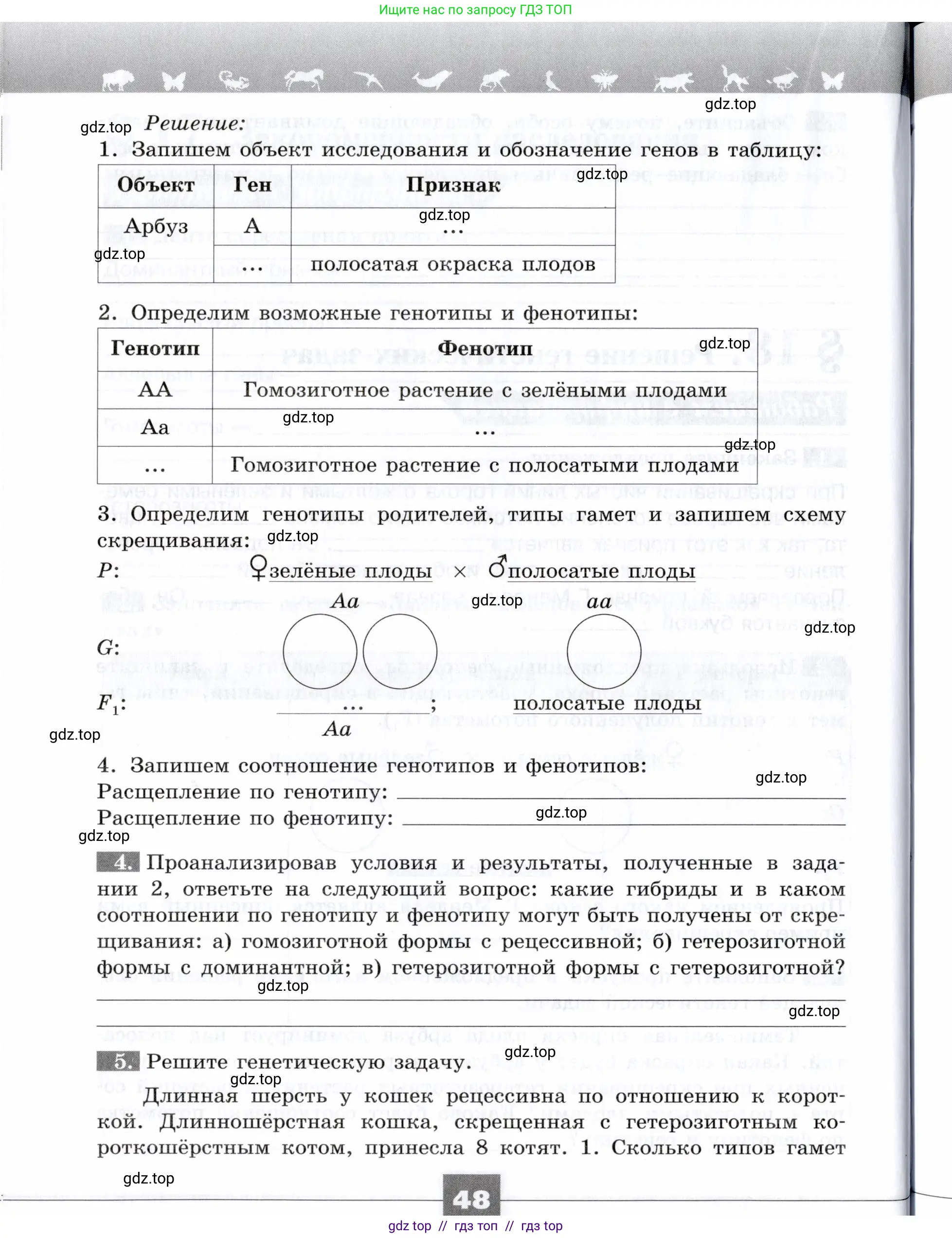 Биология, 9 класс рабочая тетрадь, авторы: Пасечник Владимир Васильевич, Швецов Глеб Геннадьевич, издательство Просвещение, Москва, 2019, страница 48