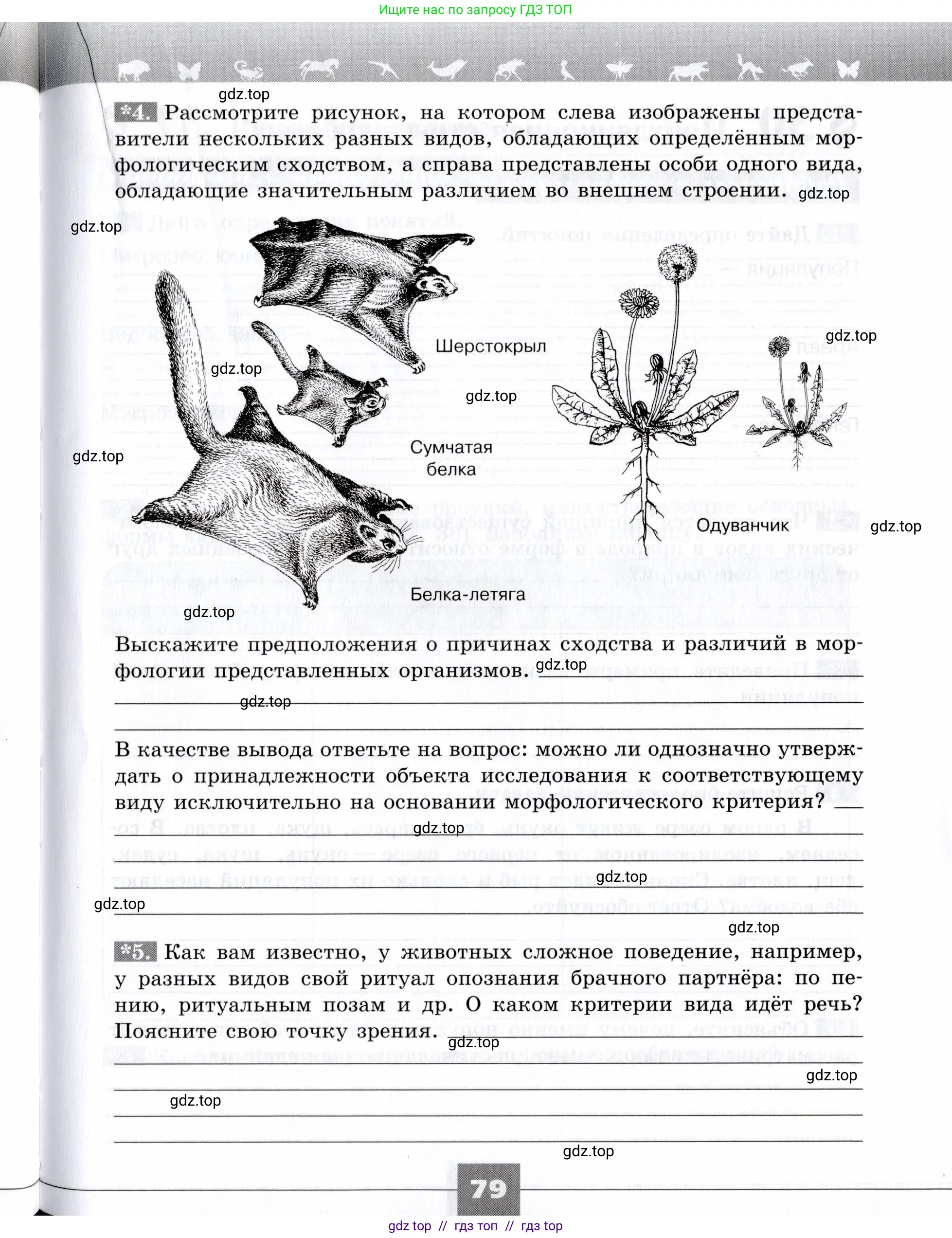 Биология, 9 класс рабочая тетрадь, авторы: Пасечник Владимир Васильевич, Швецов Глеб Геннадьевич, издательство Просвещение, Москва, 2019, страница 79